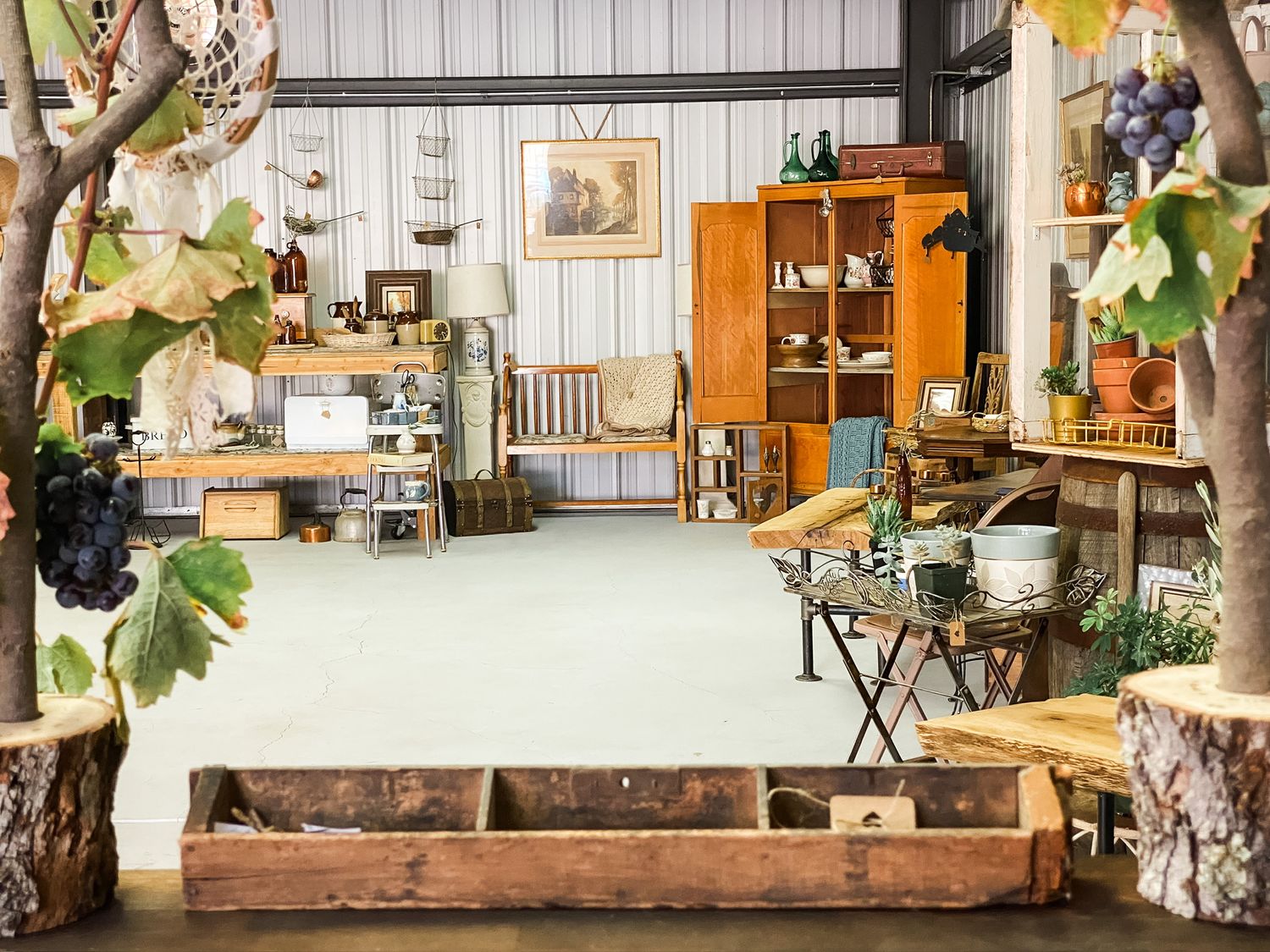 Antique shop display with wooden furniture, vintage decor, and indoor trees creating a cozy atmosphere.