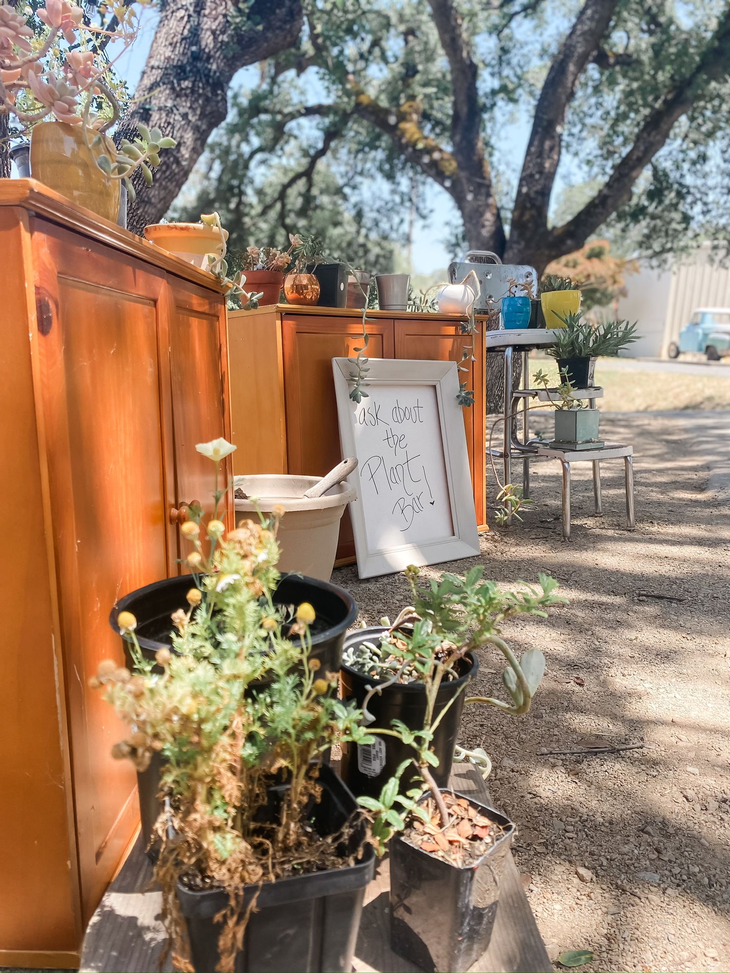 Rustic outdoor display area with orange cabinets, potted plants, and decorative elements under a shady tree.