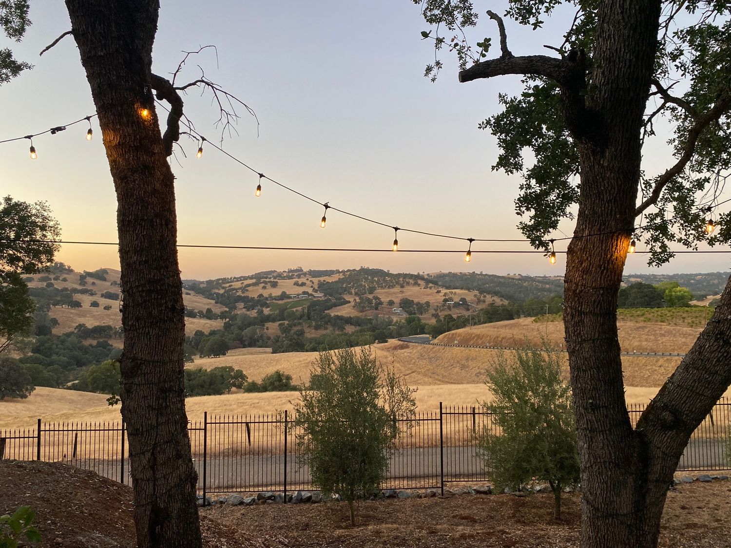 String lights stretch between two trees overlooking a serene hillside landscape at sunset.