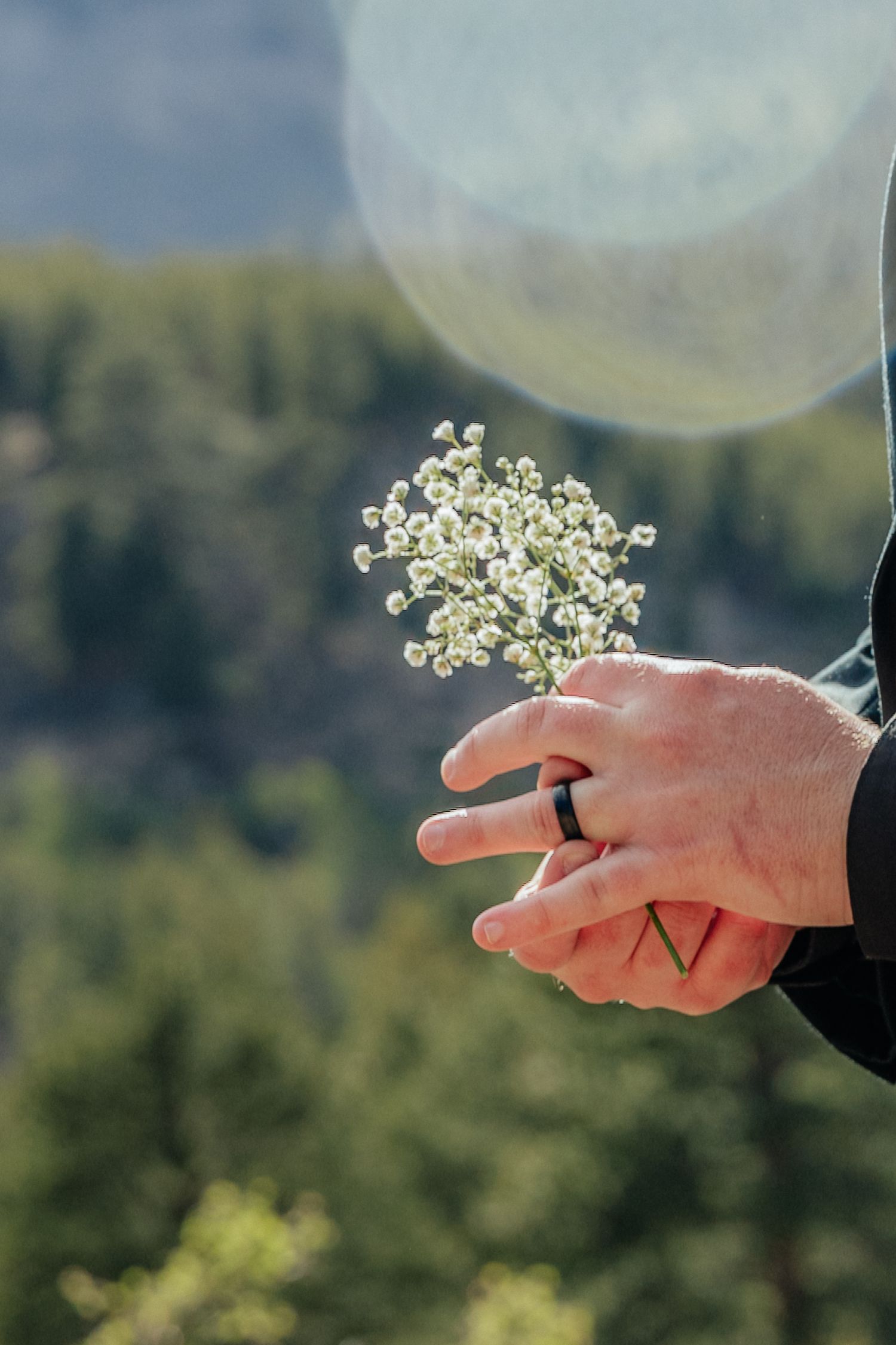 A hand wearing a black ring holds a small bunch of white baby's breath flowers outdoors with green trees in background.