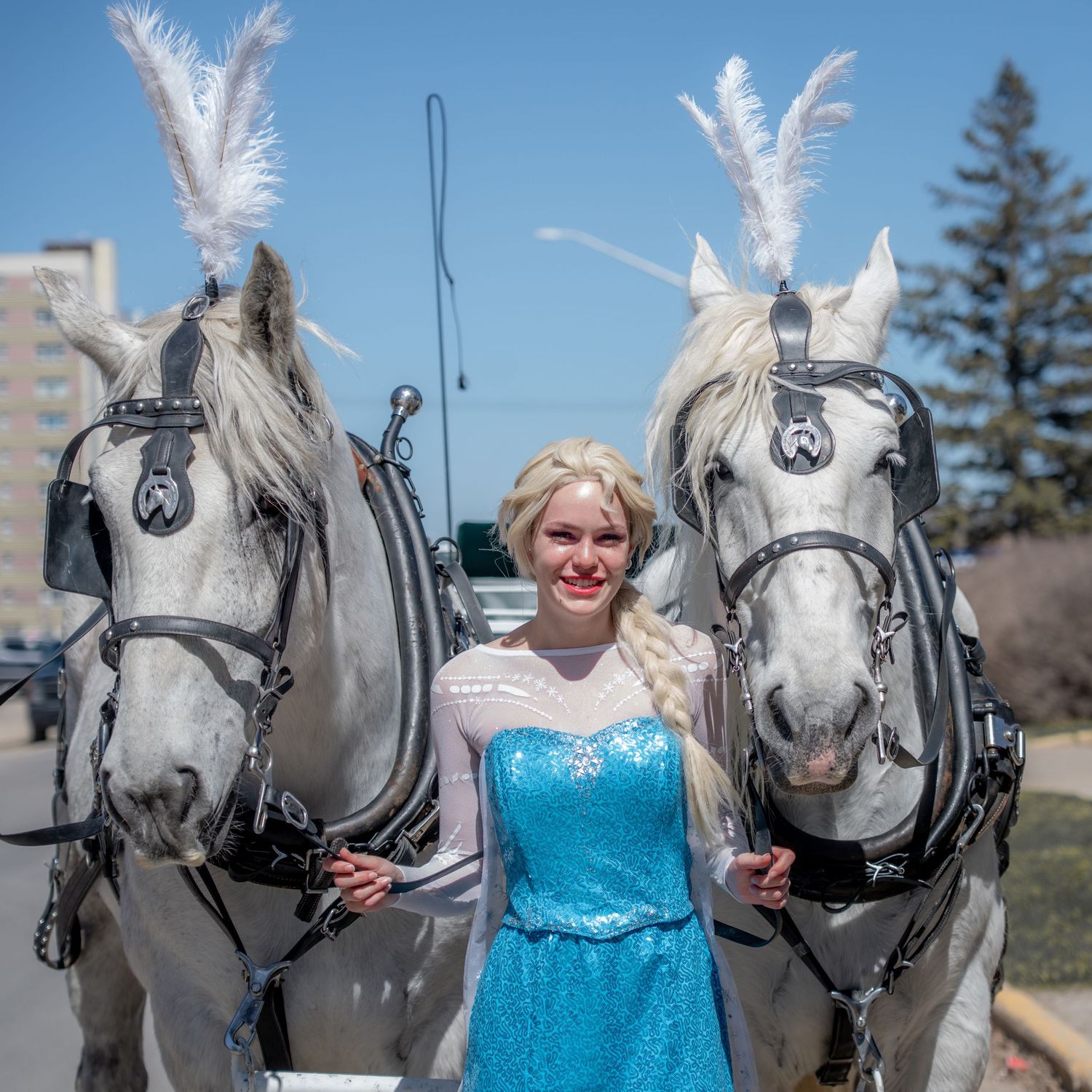 Horse and Carriage, Rental, Rentals, for Weddings, spider man, Elsa, princess, hire, wagon rides, sleigh, Disney, engagement, cinderella