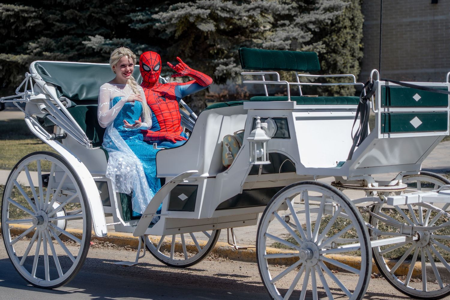 Horse and Carriage, Rental, Rentals, for Weddings, spider man, Elsa, princess, hire, wagon rides, sleigh, Disney, engagement, cinderella