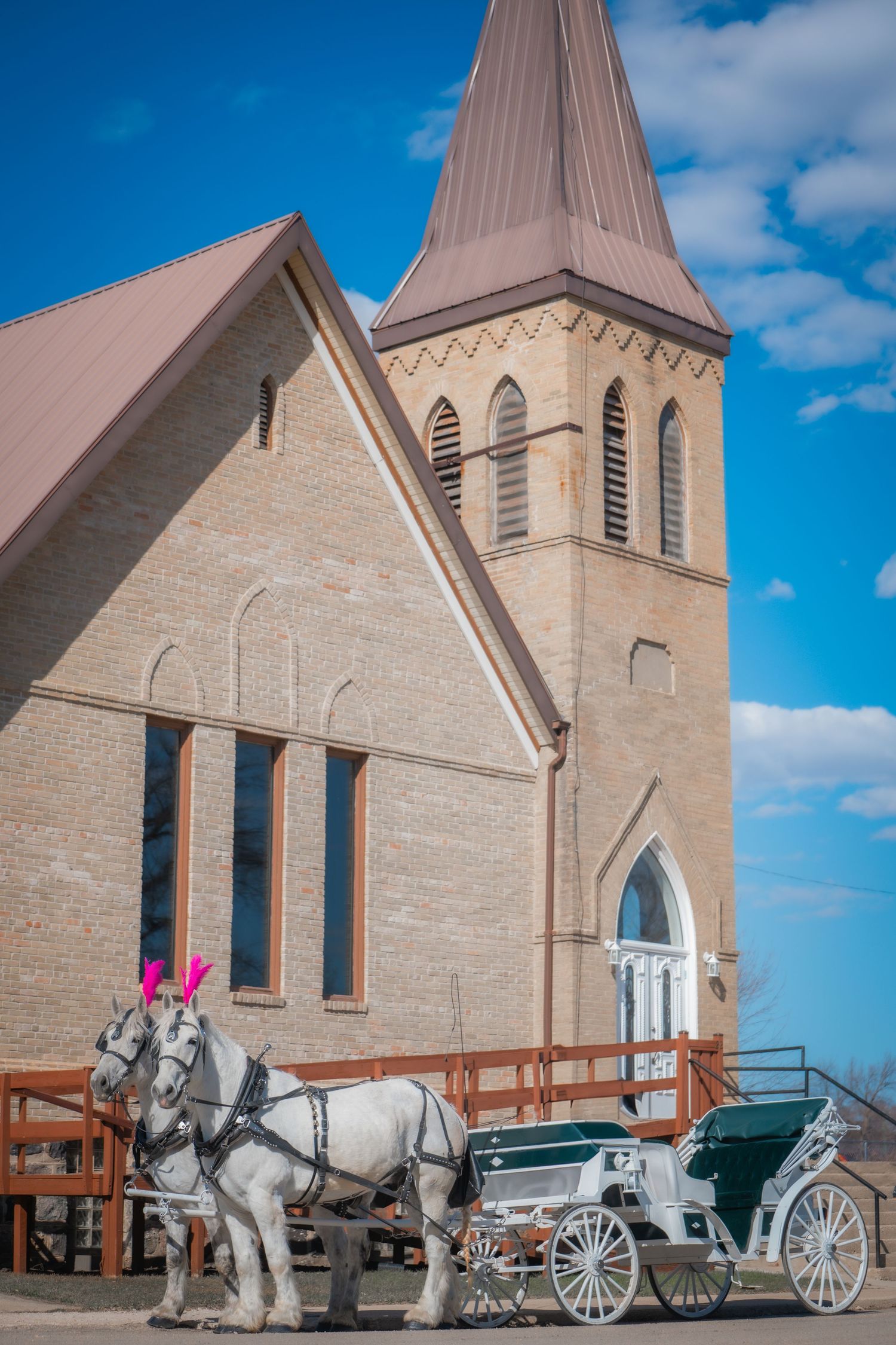 horse and carriage, buggy, horse drawn carriage, white horses, church, wedding, engagement, Winnipeg, regina, moose jaw, Saskatoon, rental