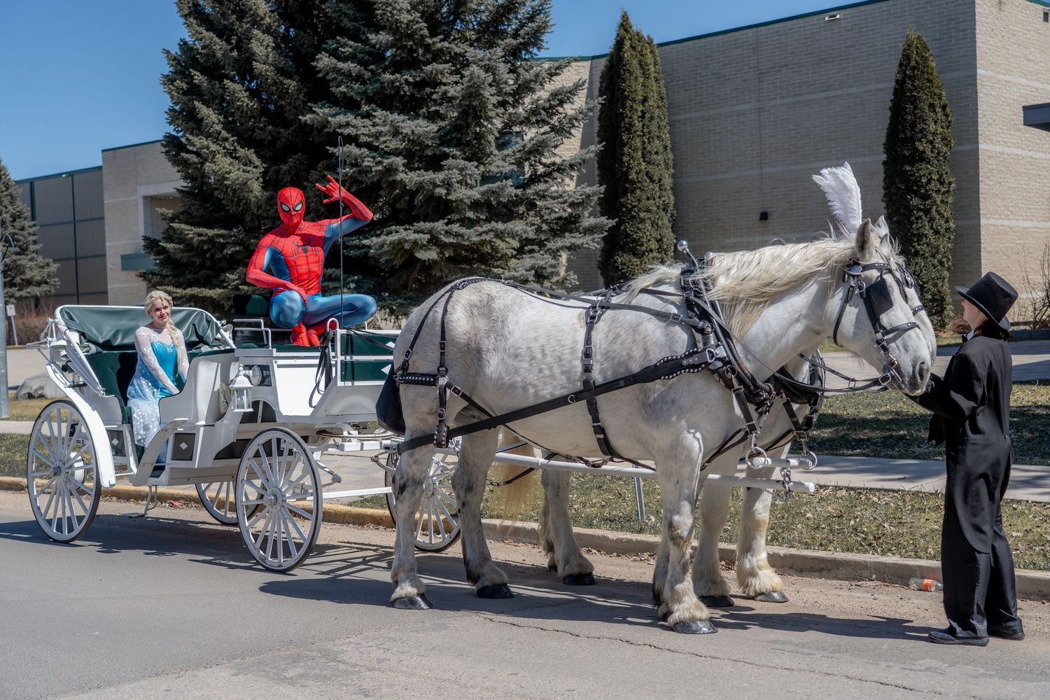 Horse and Carriage, Rental, Rentals, for Weddings, spider man, Elsa, princess, hire, wagon rides, sleigh, Disney, engagement, cinderella