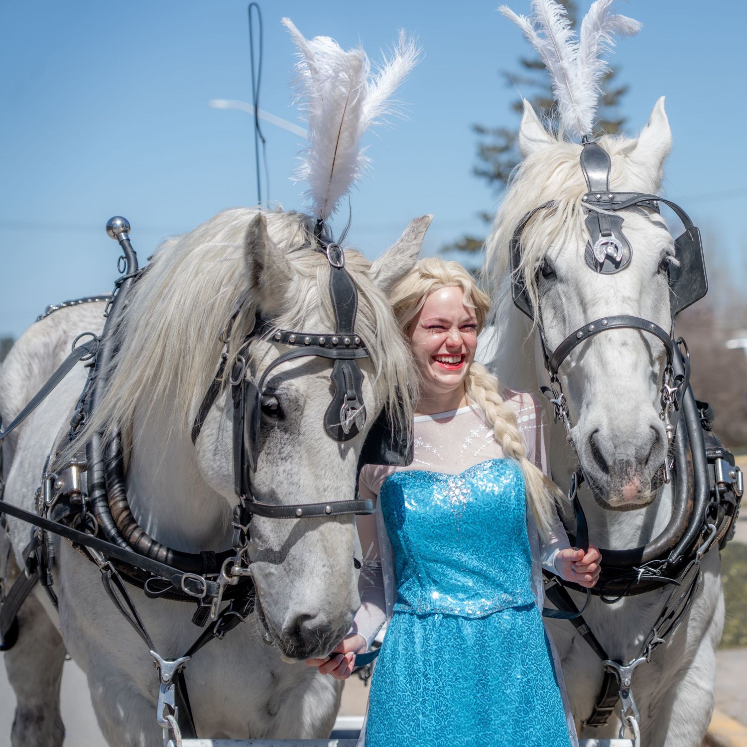 Horse and Carriage, Rental, Rentals, for Weddings, spider man, Elsa, princess, hire, wagon rides, sleigh, Disney, engagement, cinderella