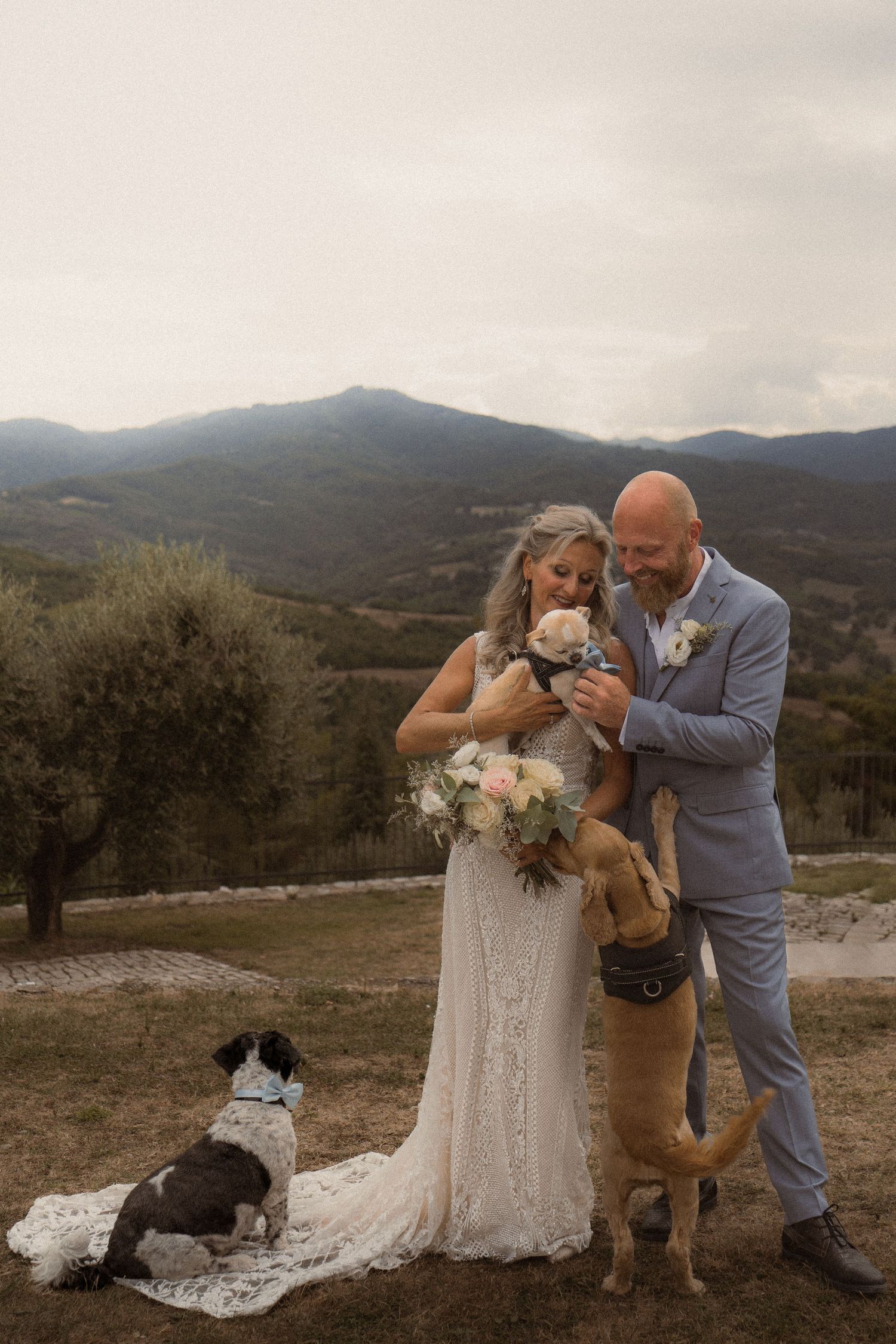 Wedding couple poses with their dogs against a mountainous landscape backdrop.