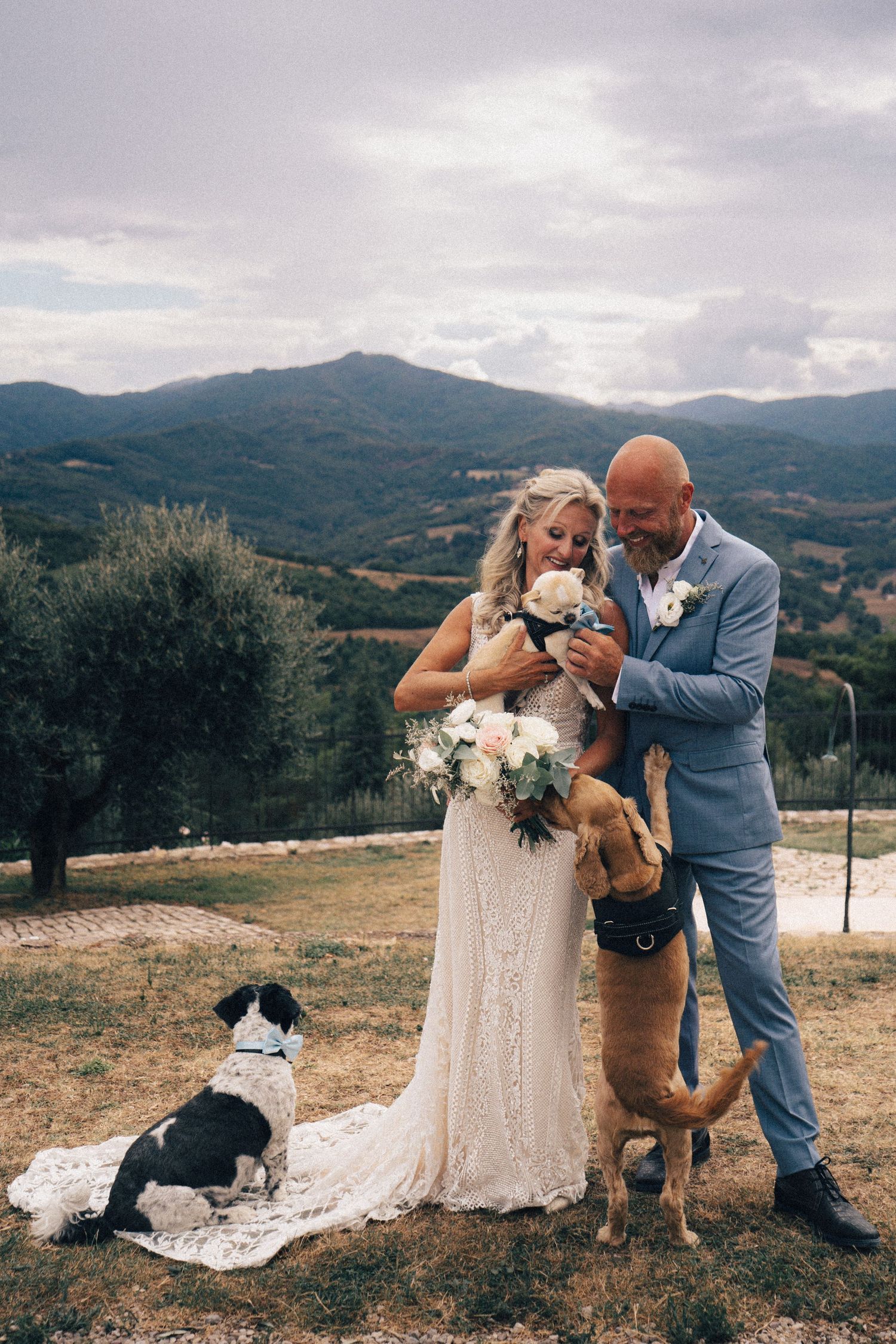A couple in wedding attire share a loving moment with their dogs against a backdrop of mountains and olive trees.