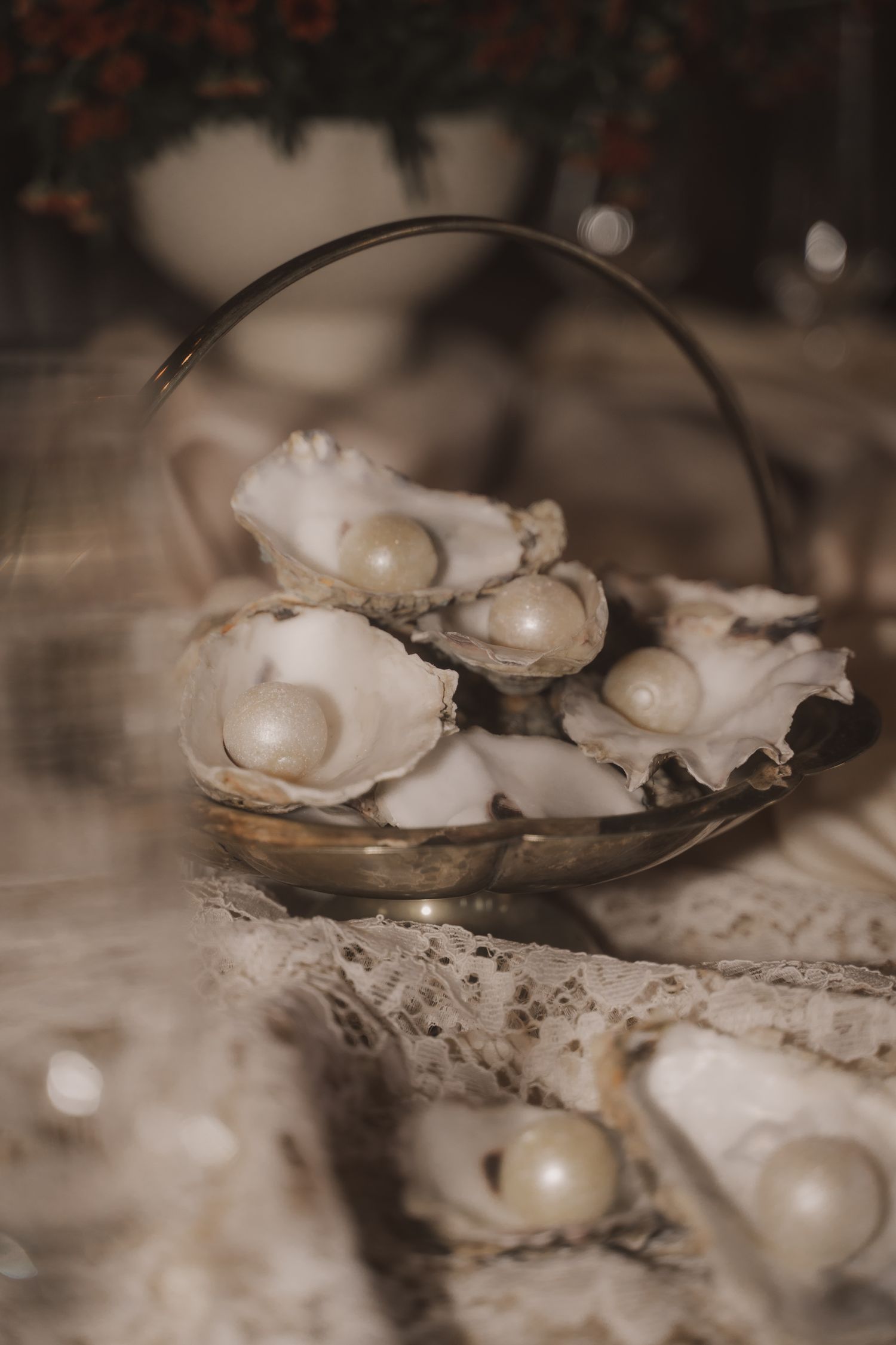 Sepia toned macro photographs of white mushrooms growing in sequence showing different stages of growth and decay.