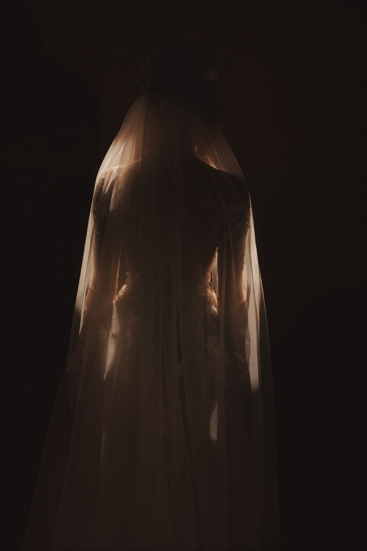 A bride in a white wedding gown and veil photographed in dramatic dark lighting.