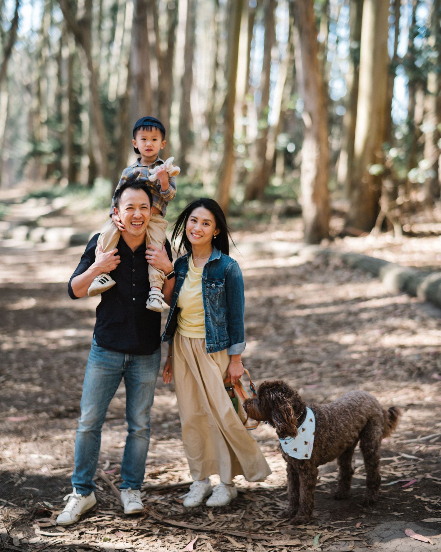 A group enjoys a playful moment with their chocolate labradoodle dog in a sun-dappled forest setting.