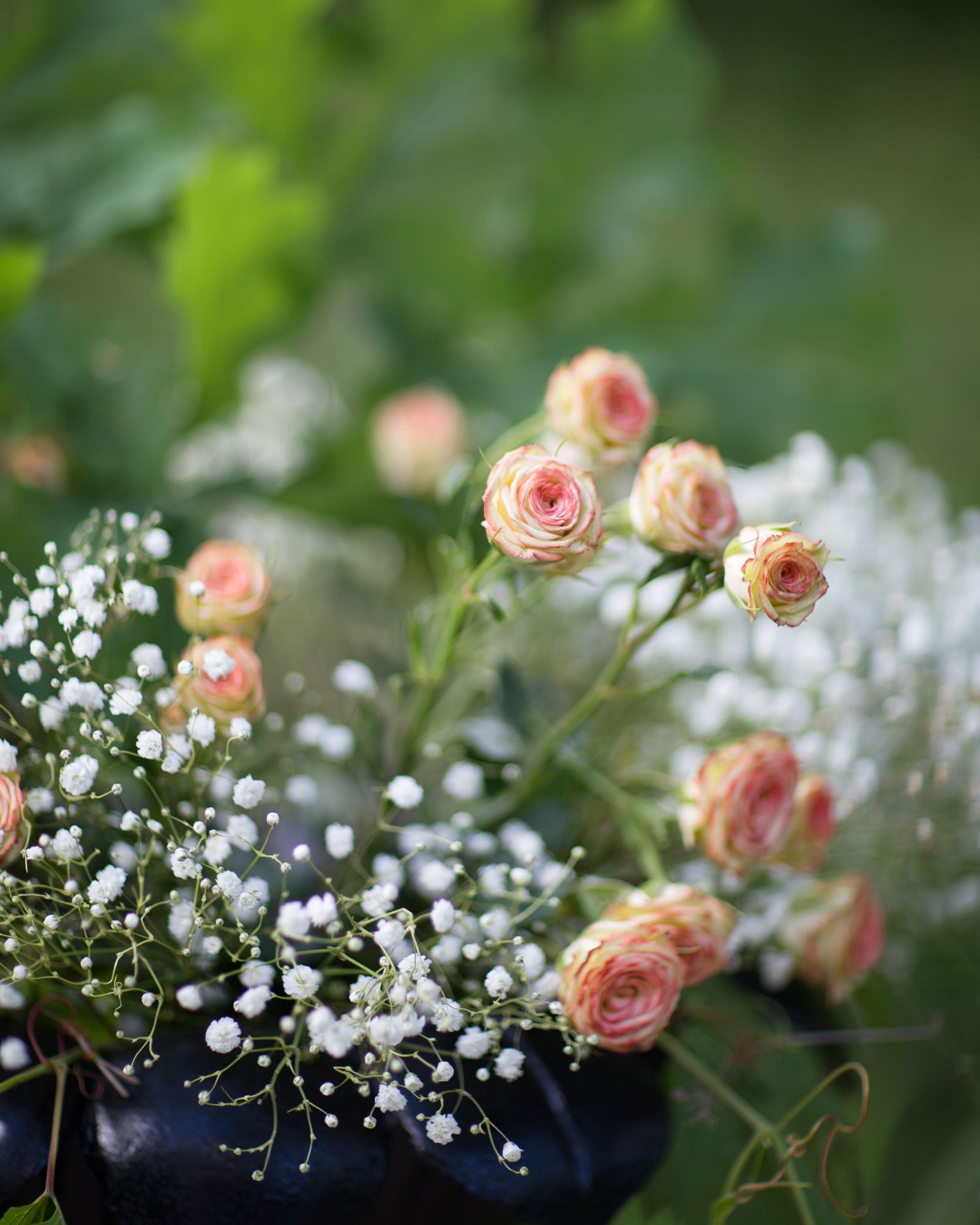 Delicate pink roses and baby's breath flowers arranged in a garden setting.