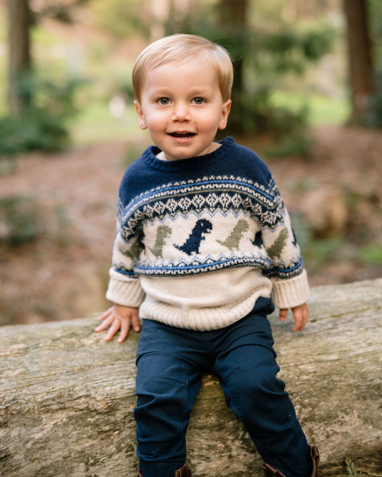 A toddler wearing a navy and white dinosaur patterned sweater sits on a fallen log in a wooded setting.
