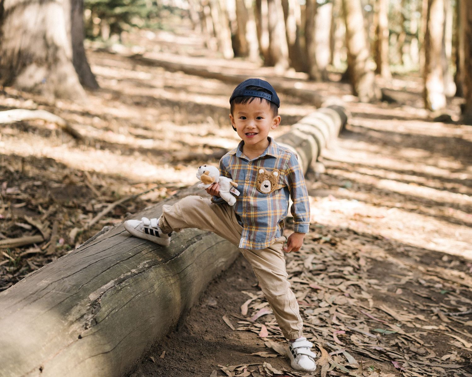 Child sitting on fallen tree trunk in a sunlit forest with dappled light filtering through the trees.