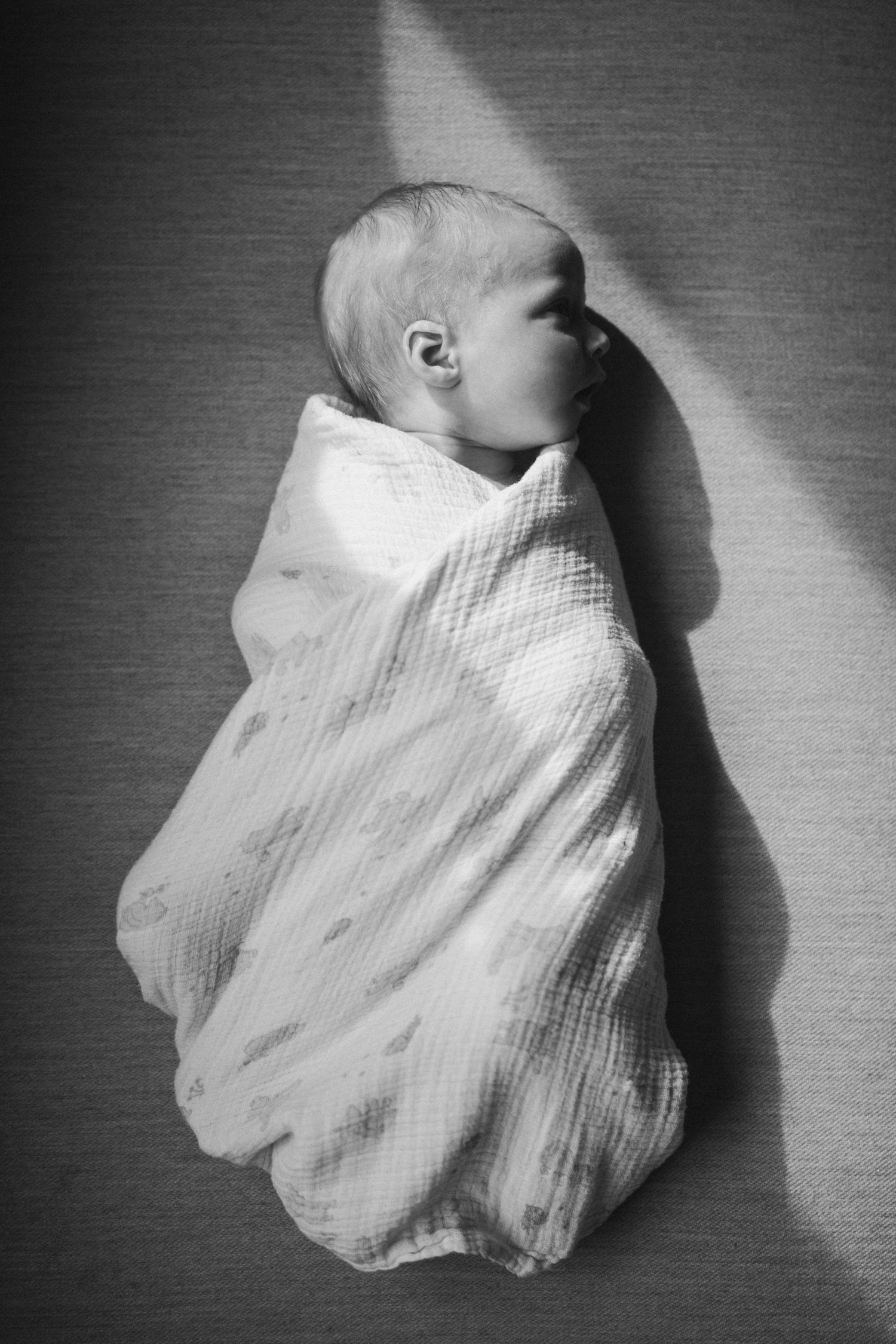 A series of black and white photographs showing a white cloth or fabric casting dramatic shadows on a textured surface.