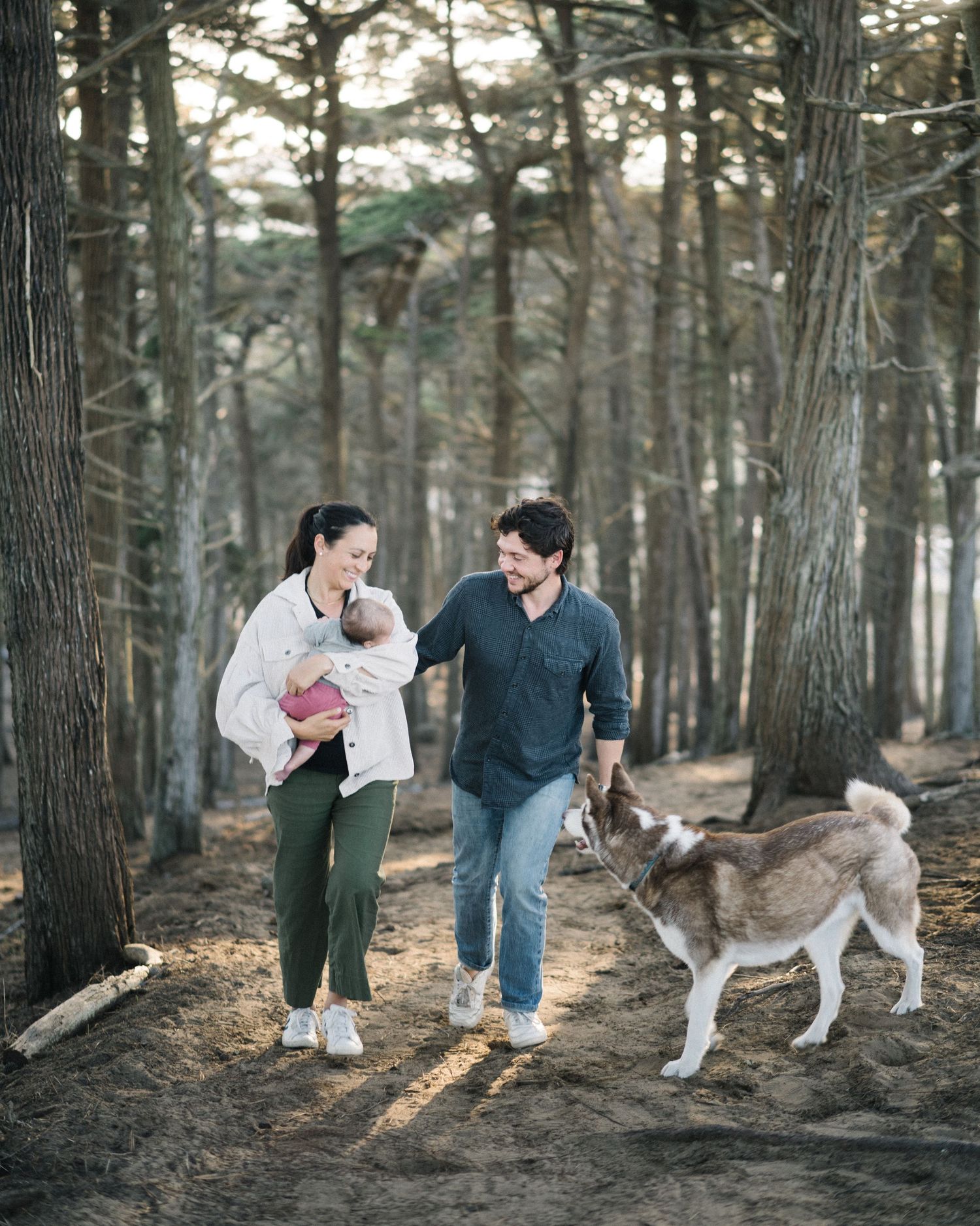 Two people walking their husky dog through a serene pine forest on a sunny afternoon.