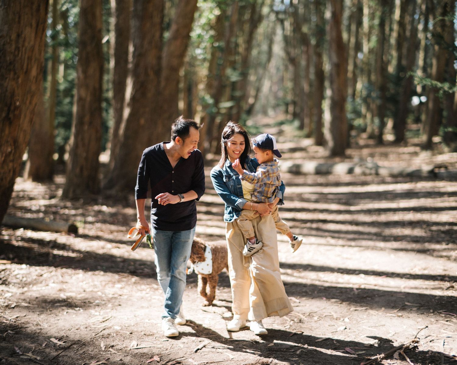 A couple walks their small dog through a sunlit forest on a peaceful autumn day.
