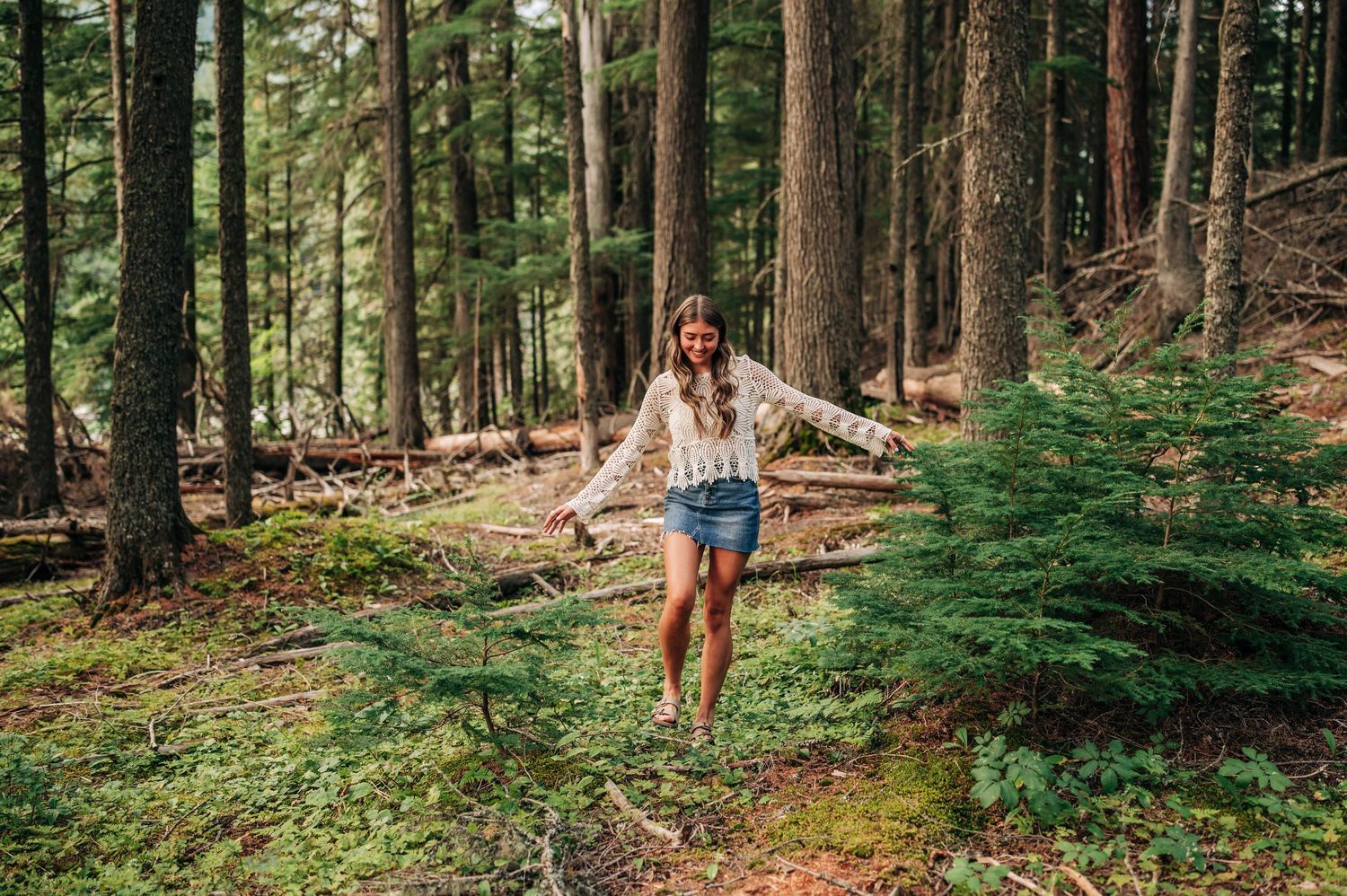 A hiker walks through a dense forest of tall trees along a sunlit trail in British Columbia.
