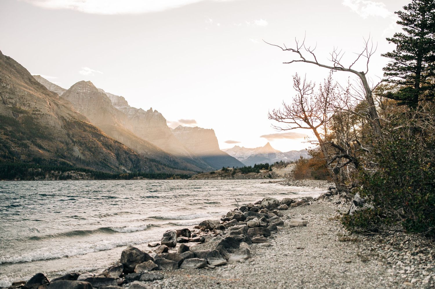 Rocky shoreline along mountain lake with rugged peaks and pink sunset light illuminating bare tree branches.