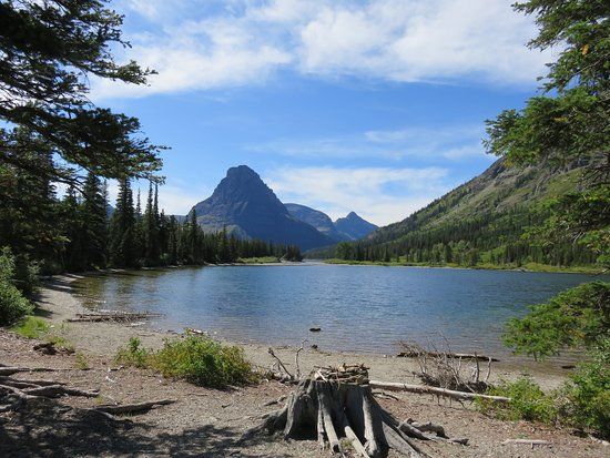 Scenic mountain lake in Glacier National Park with driftwood on shore and dramatic peaks rising in background under blue sky.