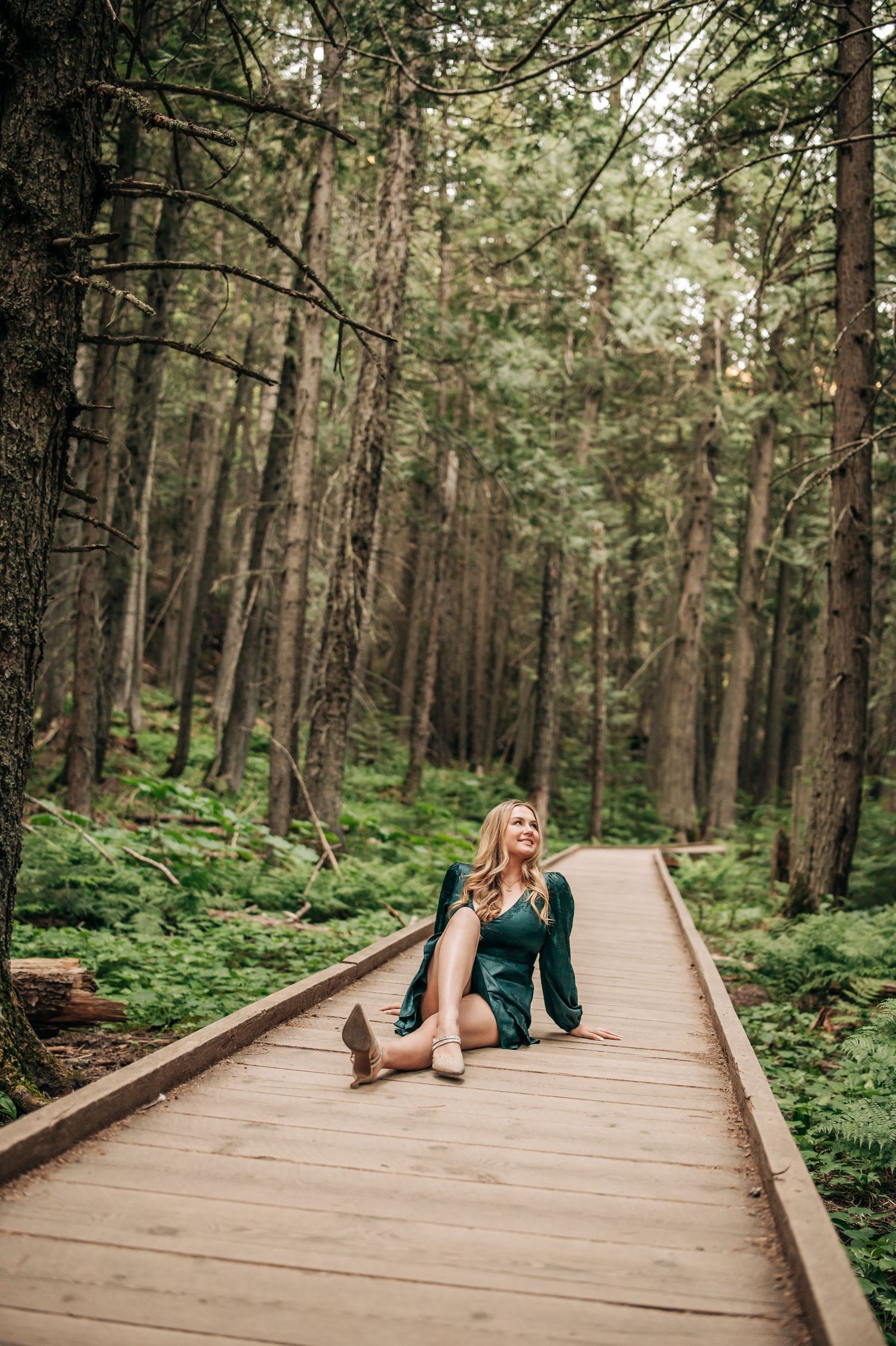 A person sits on a wooden boardwalk surrounded by tall pine trees in a lush forest setting.