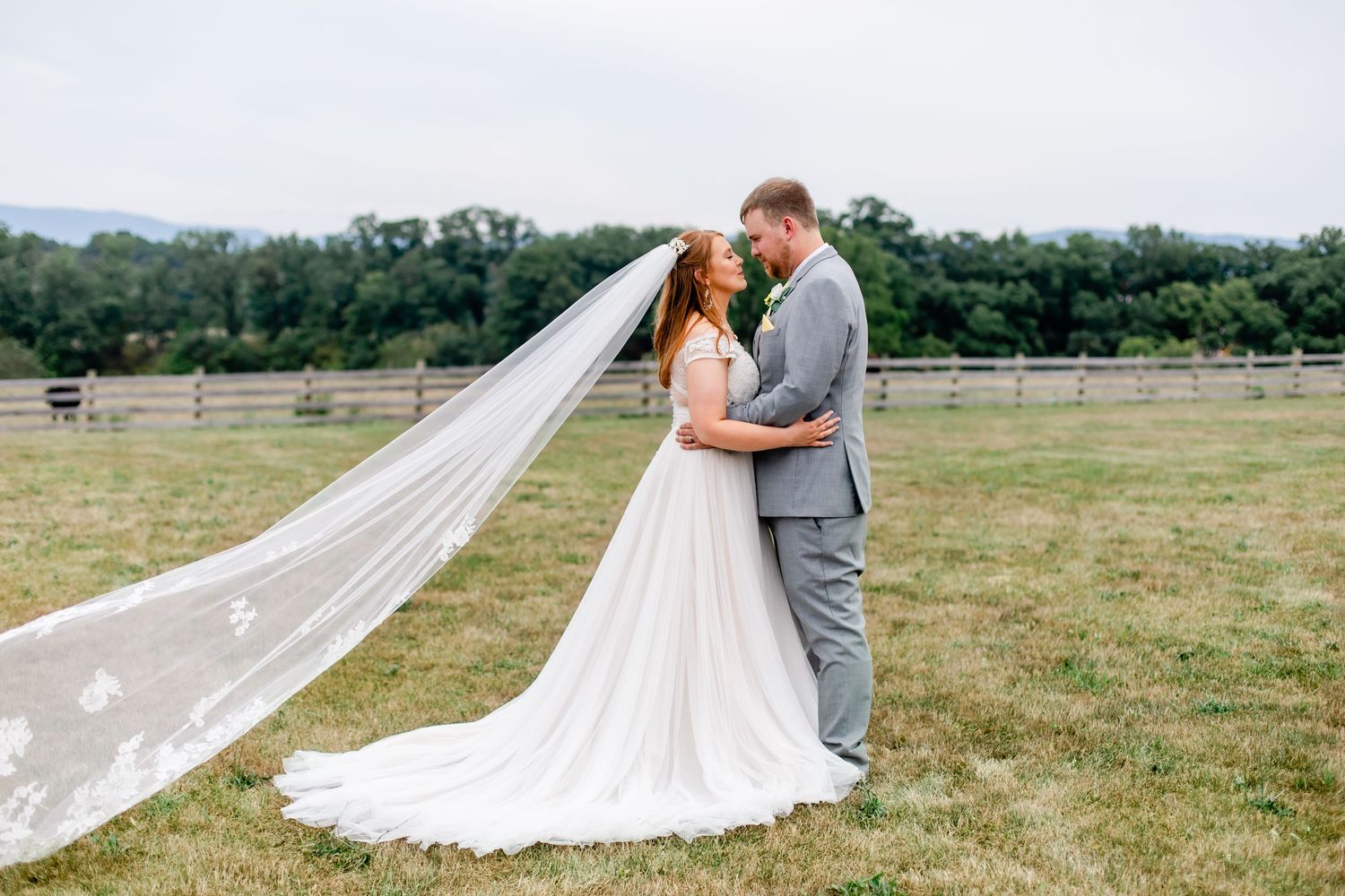Romantic bride and groom embracing in a field with a flowing cathedral veil and mountain backdrop.