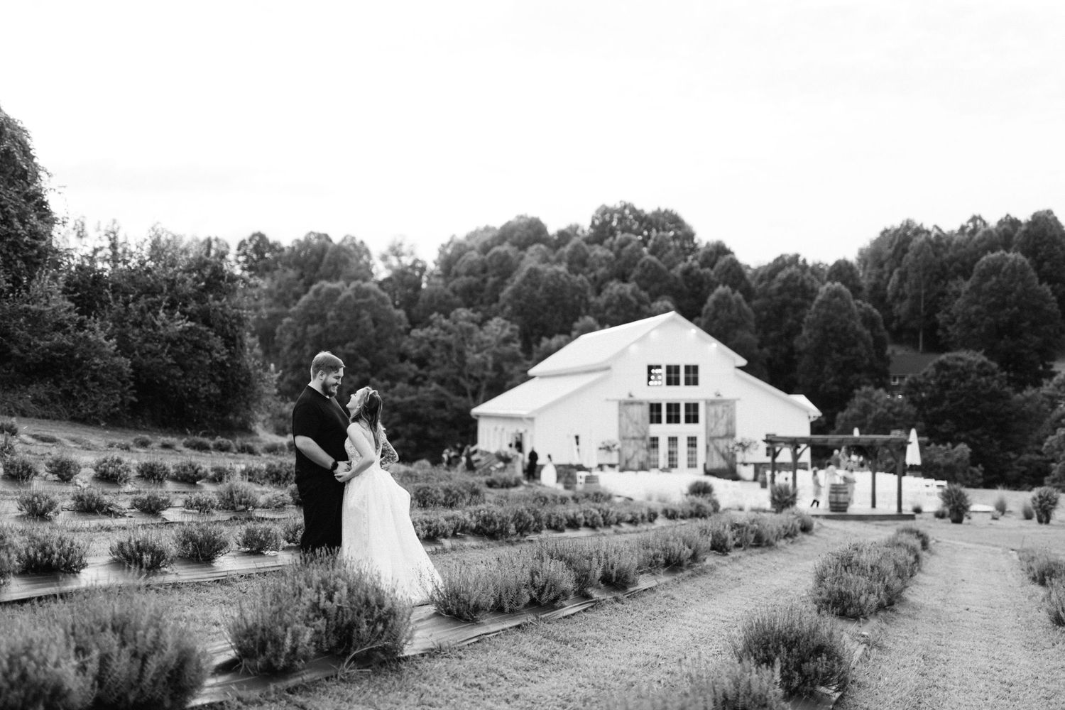 Black and white photo of couple embracing near lavender field with white barn backdrop.