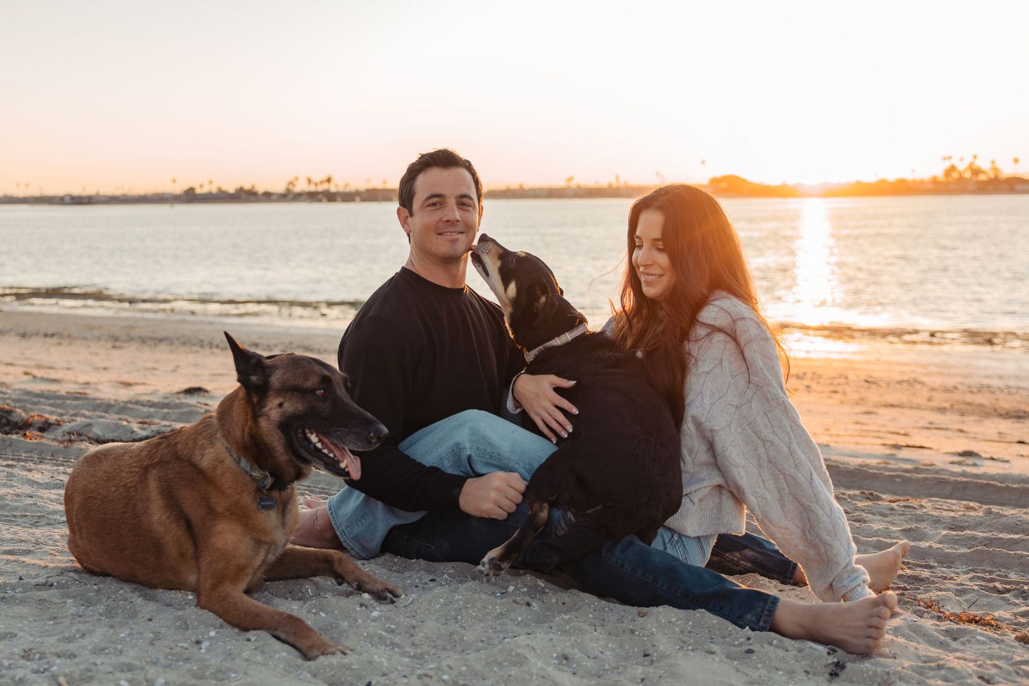 Scenic beach sunset photo with figures and dogs relaxing on sandy shore.
