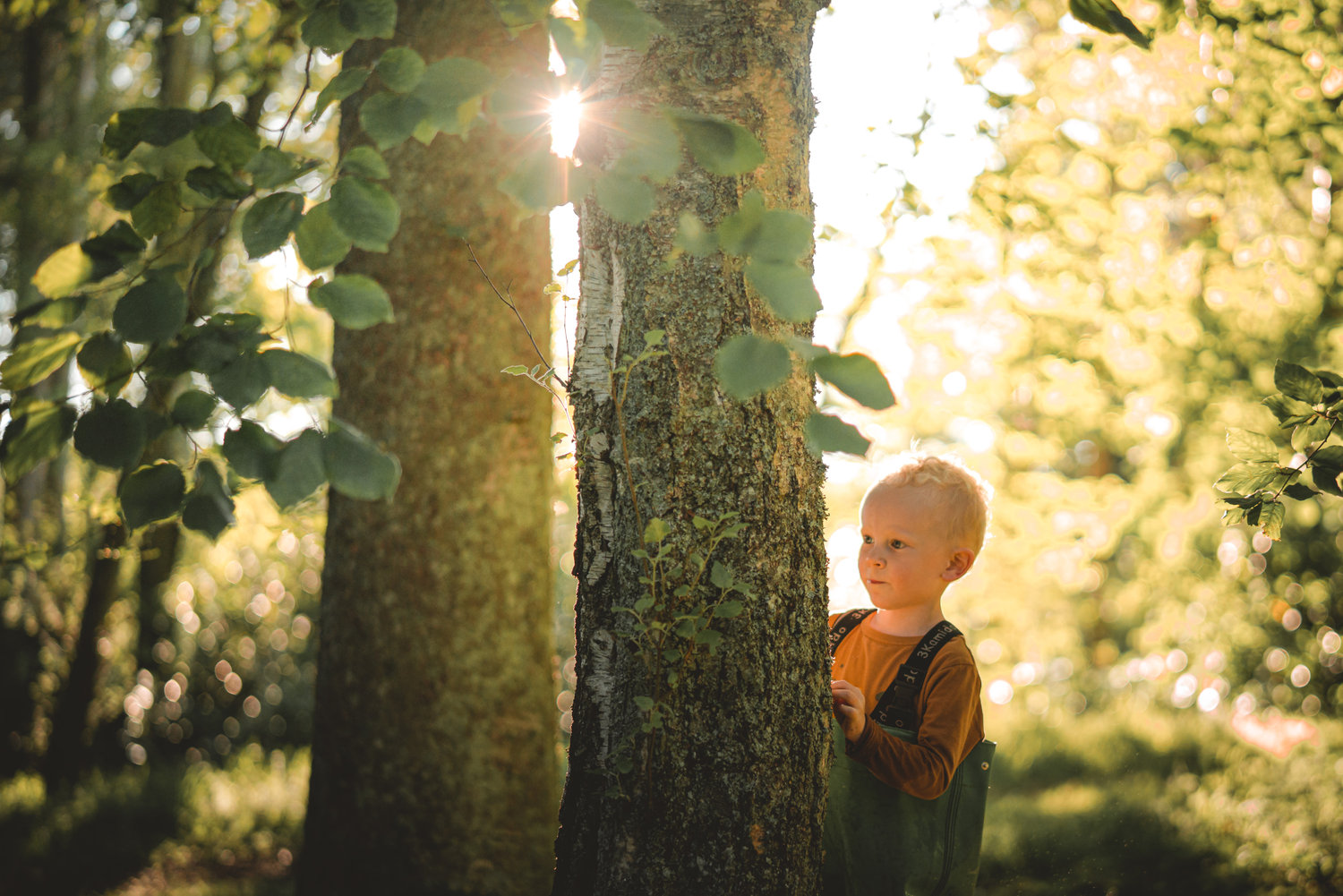 The Benefits of Foraging - The Grizzly Forager: The Definitive Guide to ...