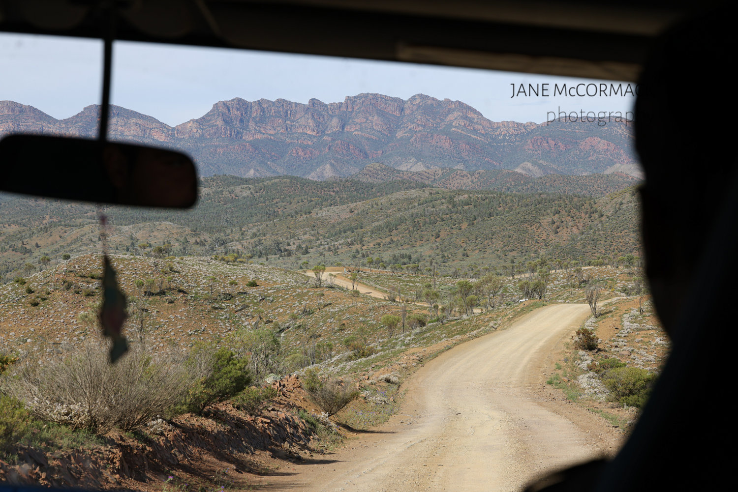 Travel - Jane McCormack