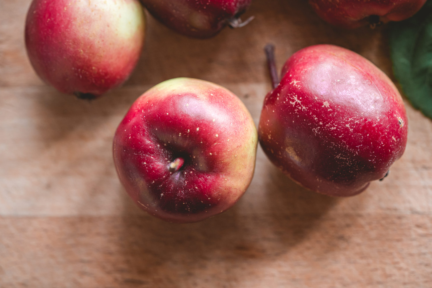 Apples - The Grizzly Forager: The Definitive Guide to Foraging with Kids