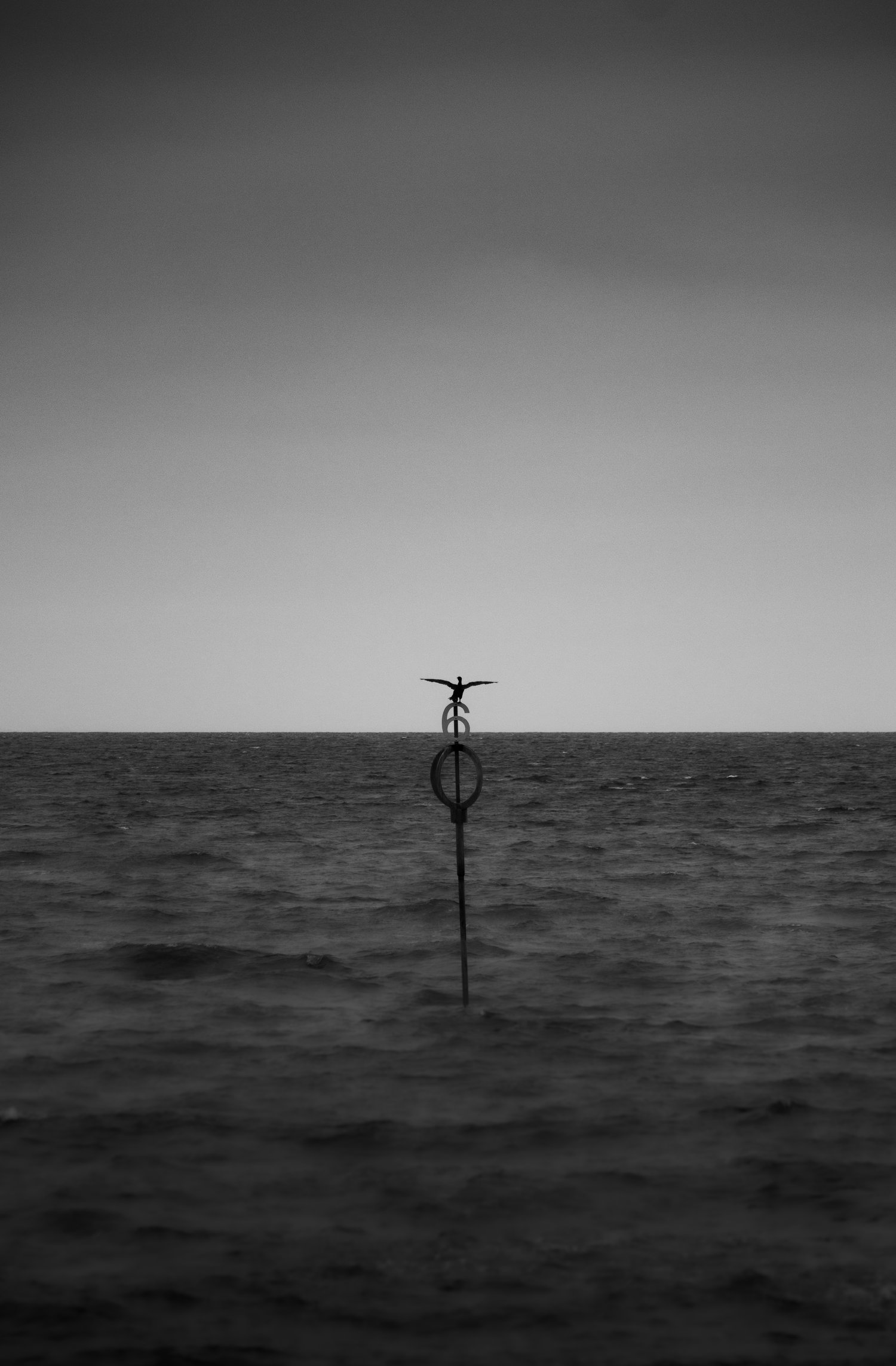 ralph yeung photography