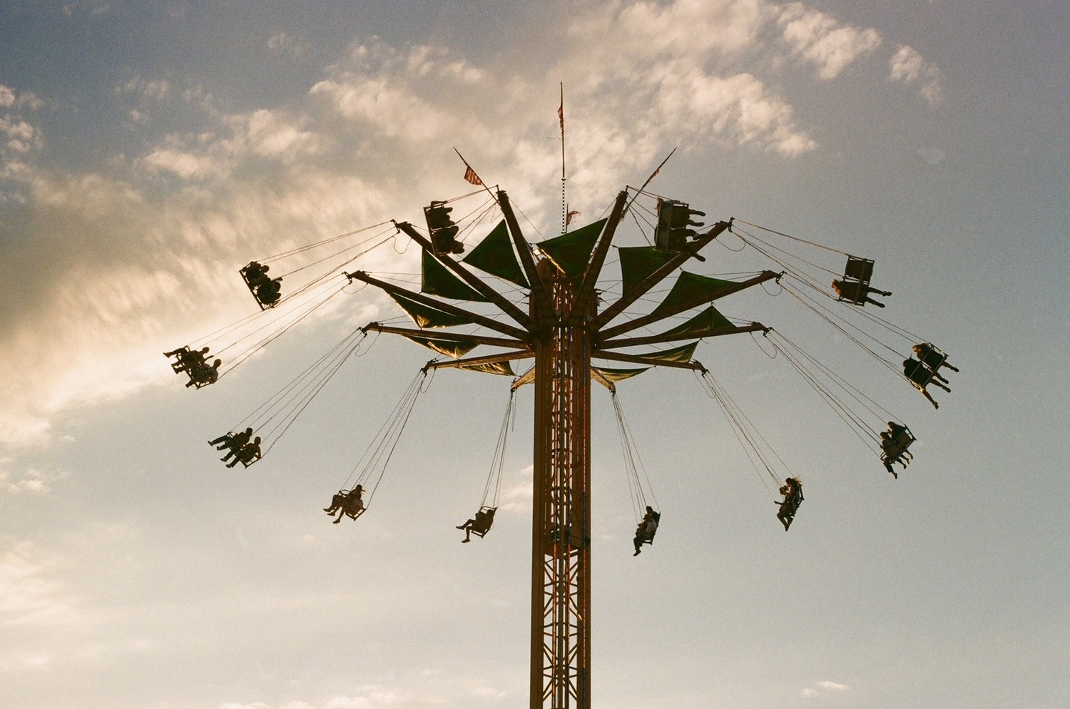 Analog & Everyday - Hailey Shea Photos