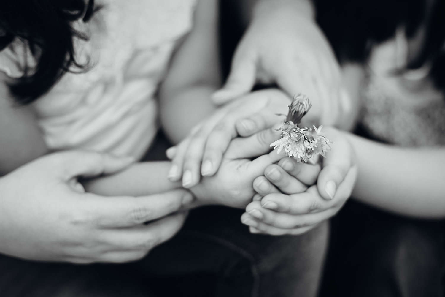 Sarah Keyes Photography