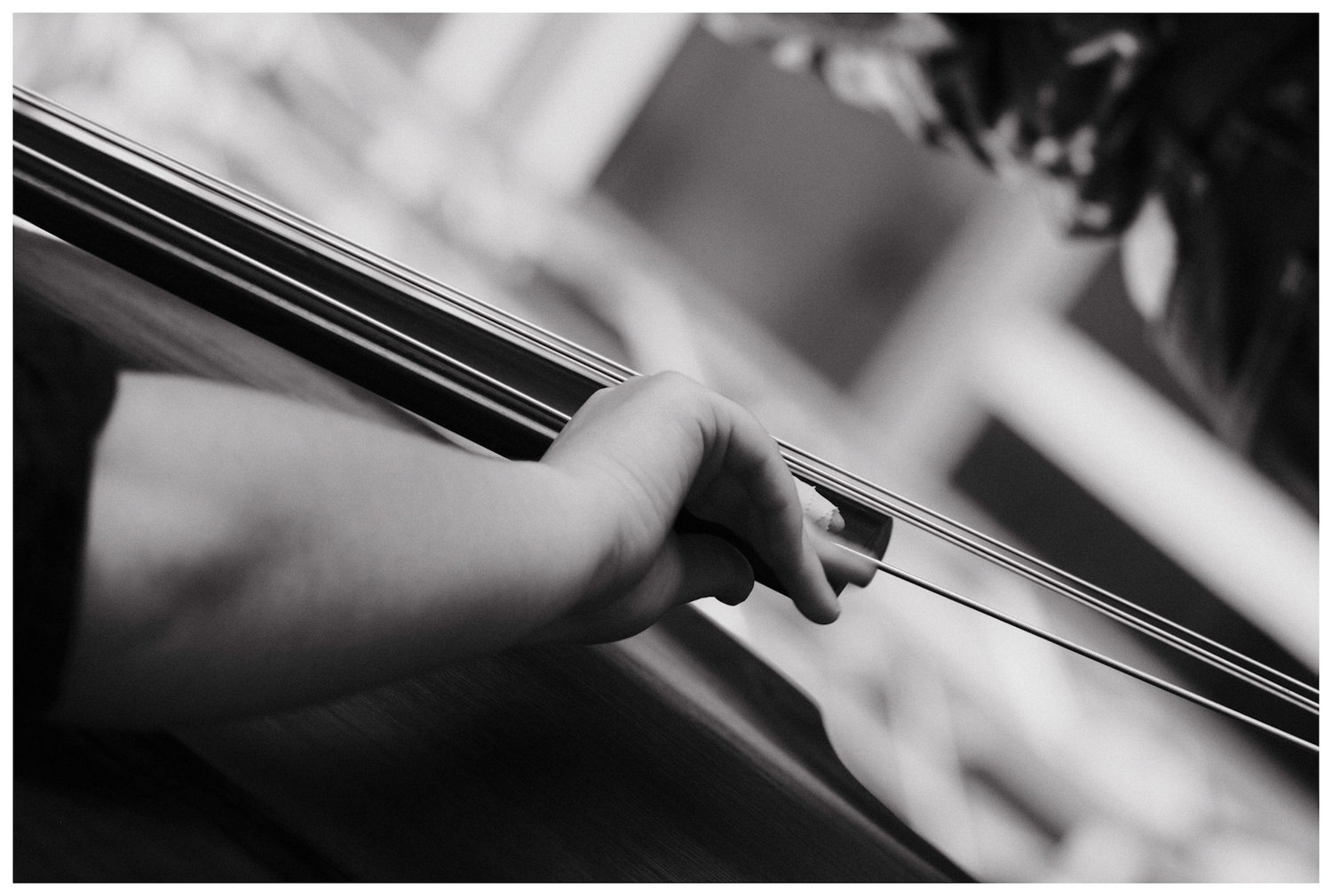Springfield Music Photography STEPHEN EVANS PHOTOGRAPHY