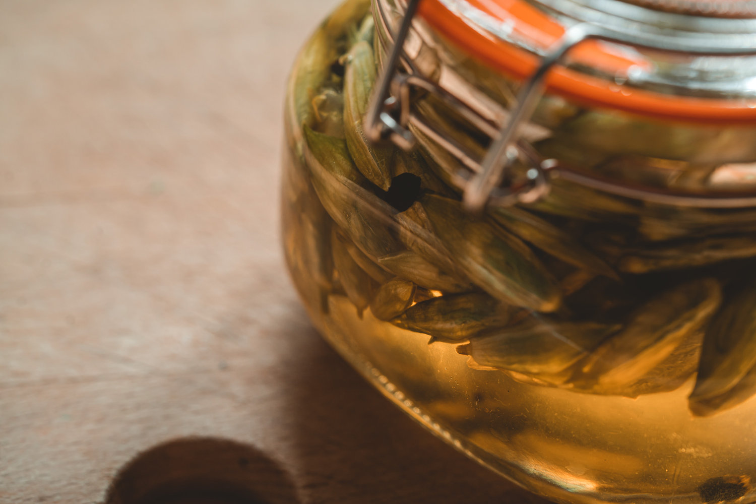 Recipes: Condiments - The Grizzly Forager: The Definitive Guide to ...