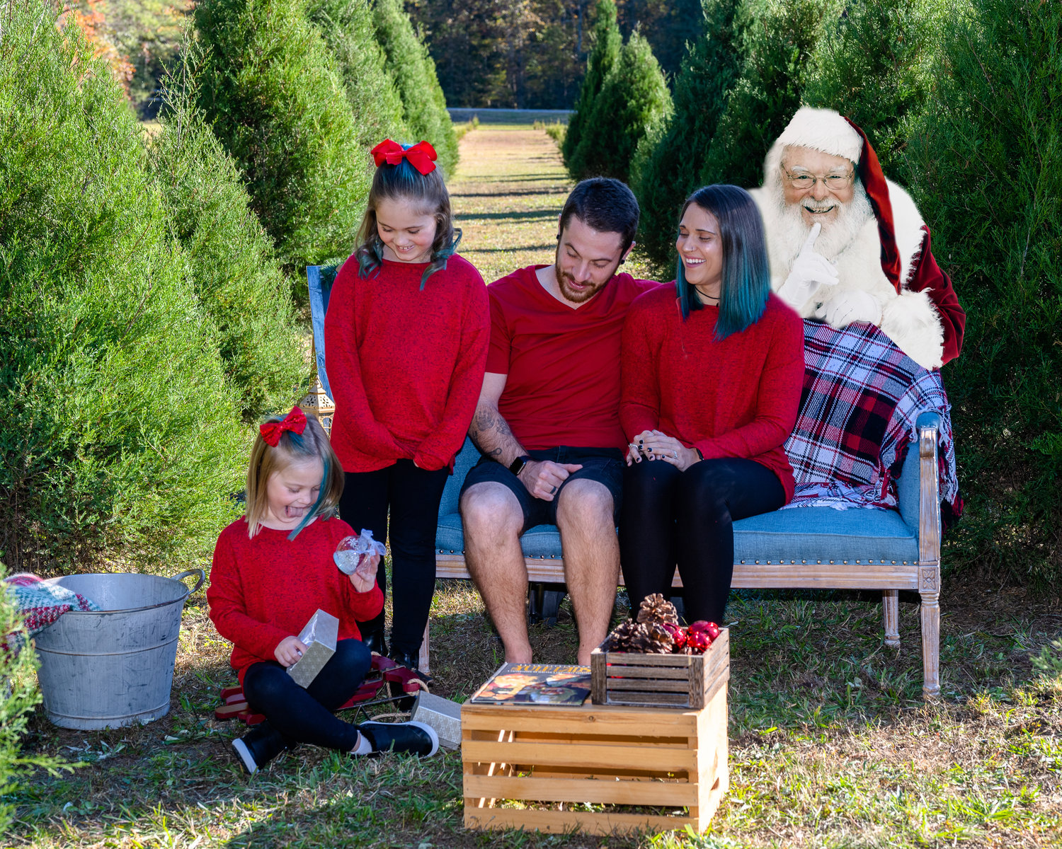 Santa Minis at Booth's Christmas Tree Farm - South Strand Life Photography