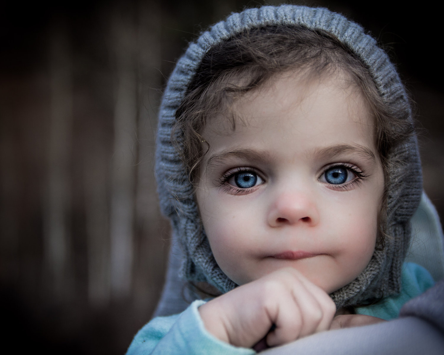 Contact Mountain Folk Photography