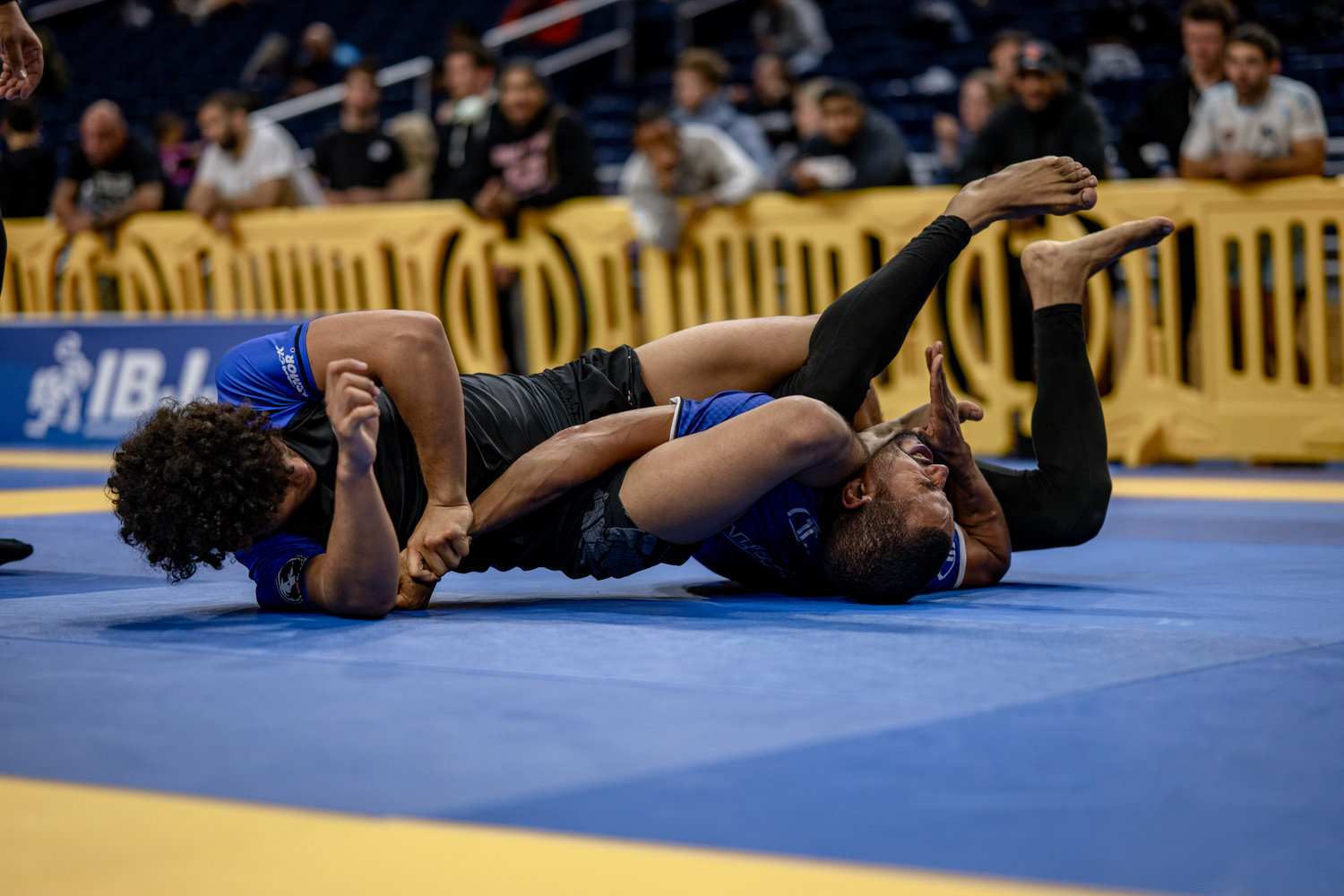 Mats & Bats Photography