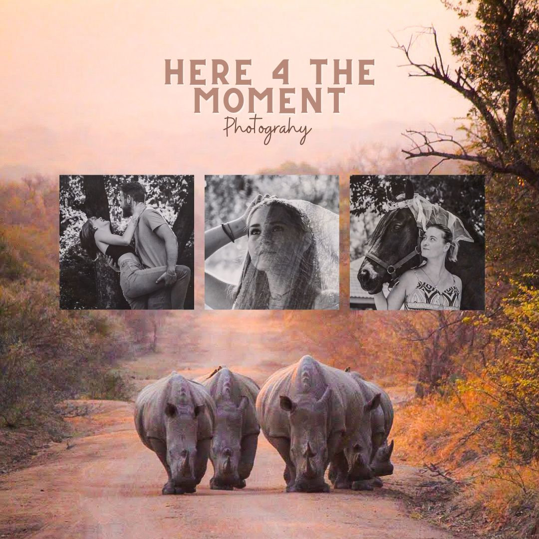 equine-gallery-here-4-the-moment-photography