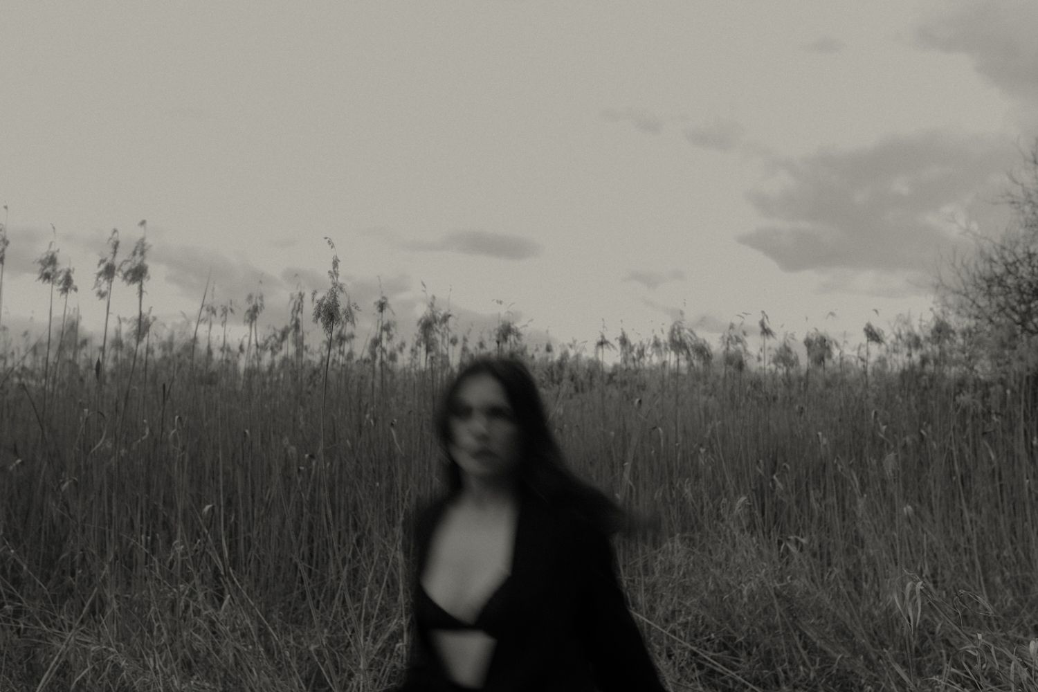 Atmospheric black and white photo of a figure in a field of tall grass.