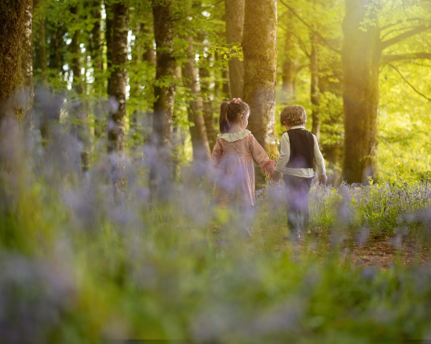 Bluebell Forest Boyle