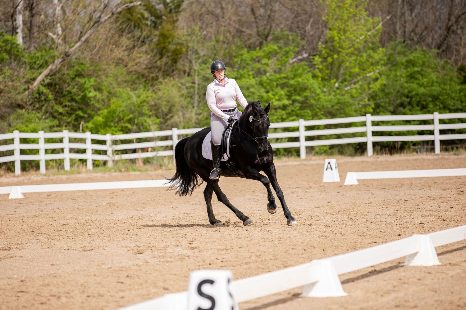 Black horse and rider performing dressage movements in sandy arena with white markers.