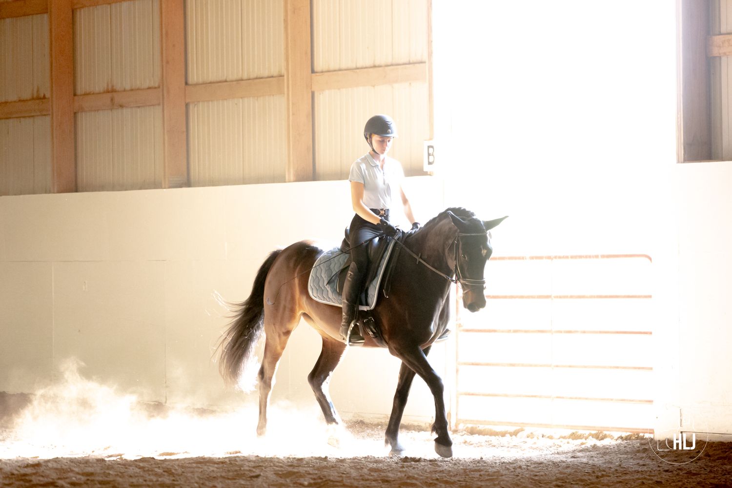 Horse and rider practicing dressage movements in sunlit indoor arena.