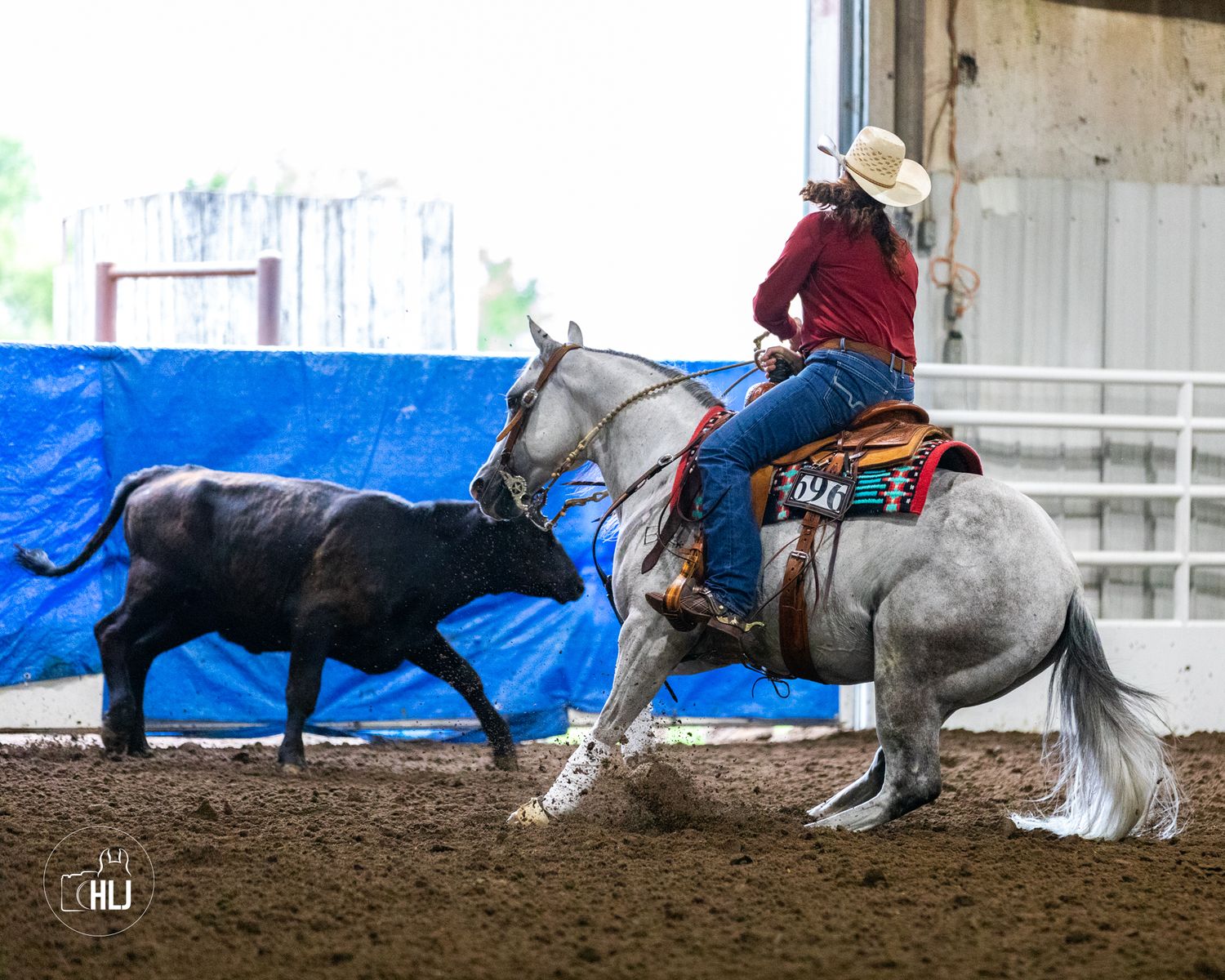 A rodeo competitor on a gray horse works with a black calf in an indoor arena.