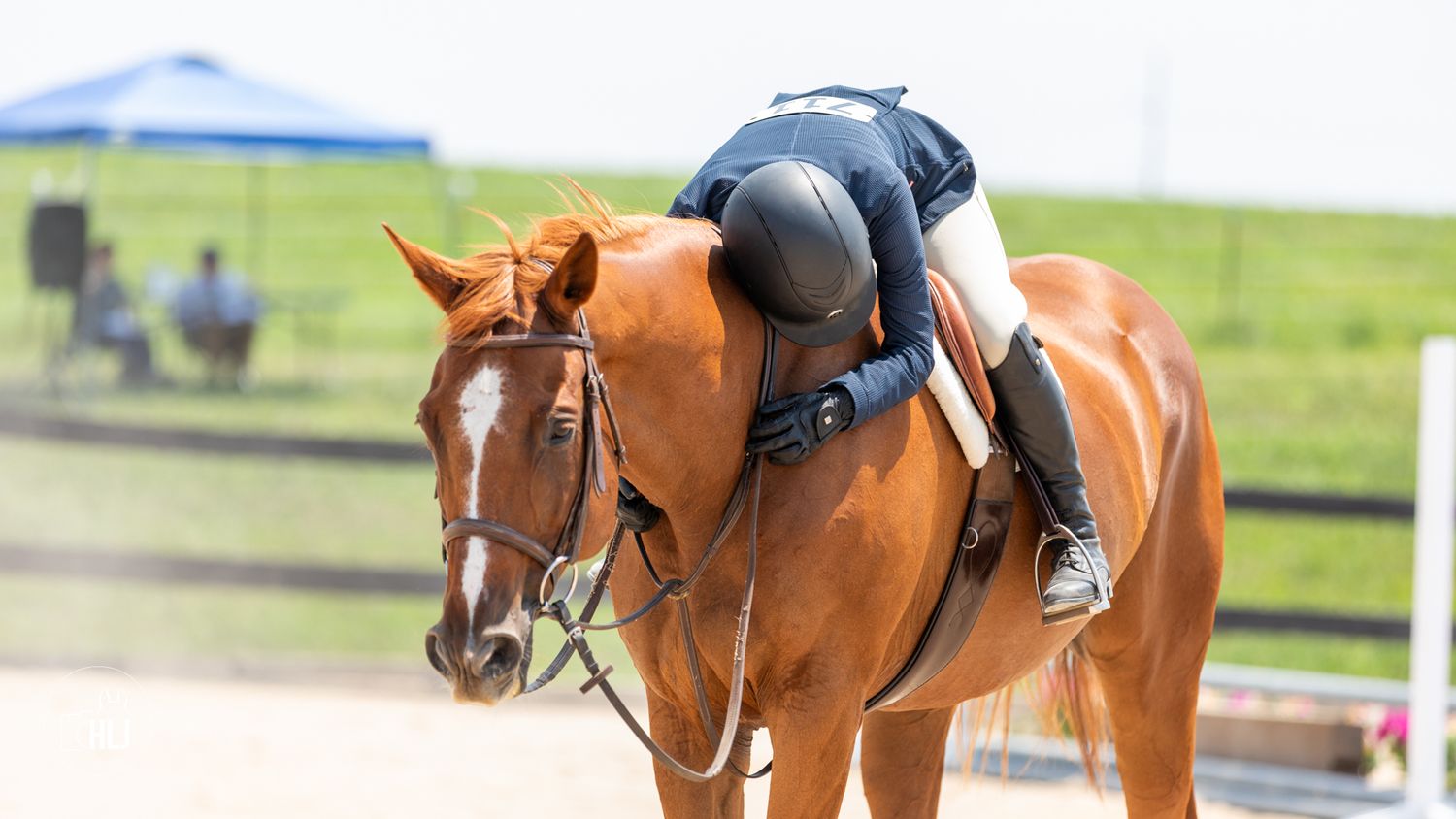 Close-up of a mounted chestnut horse wearing English riding tack.