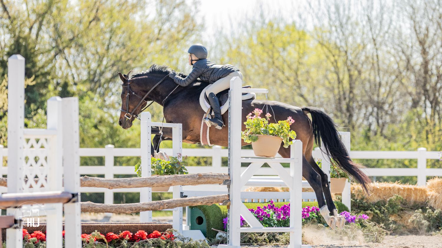 Horse and rider clearing tall white jump rails in show jumping competition.