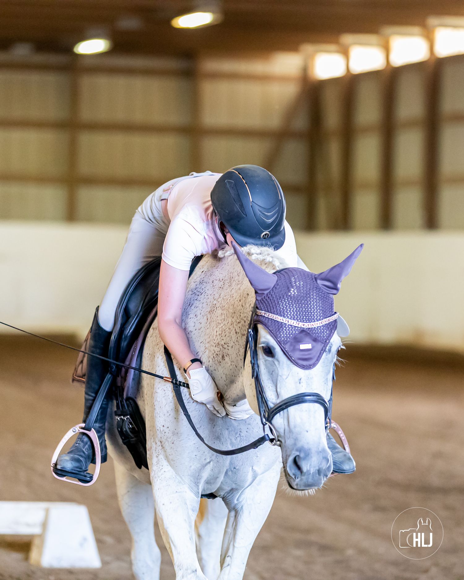 A gray horse wearing a purple bonnet with rider leaning forward during indoor training.