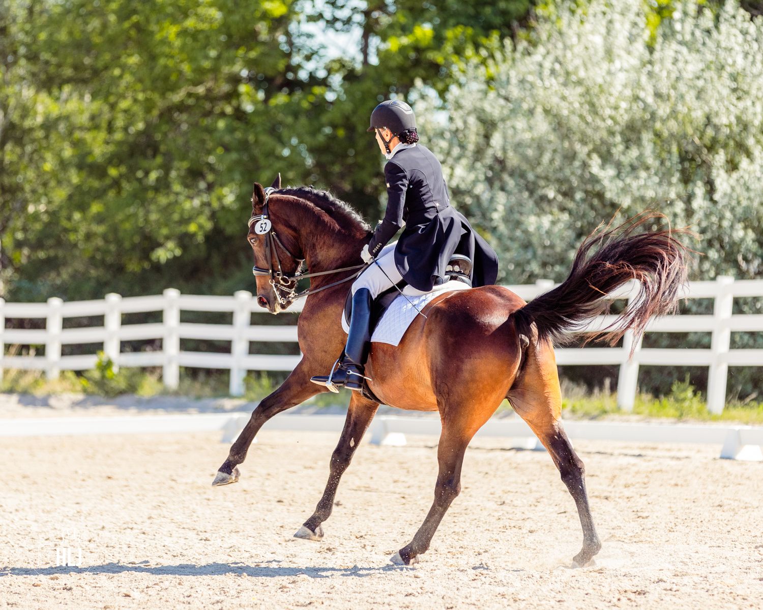 Horse and rider performing dressage movement in outdoor arena with white fencing.