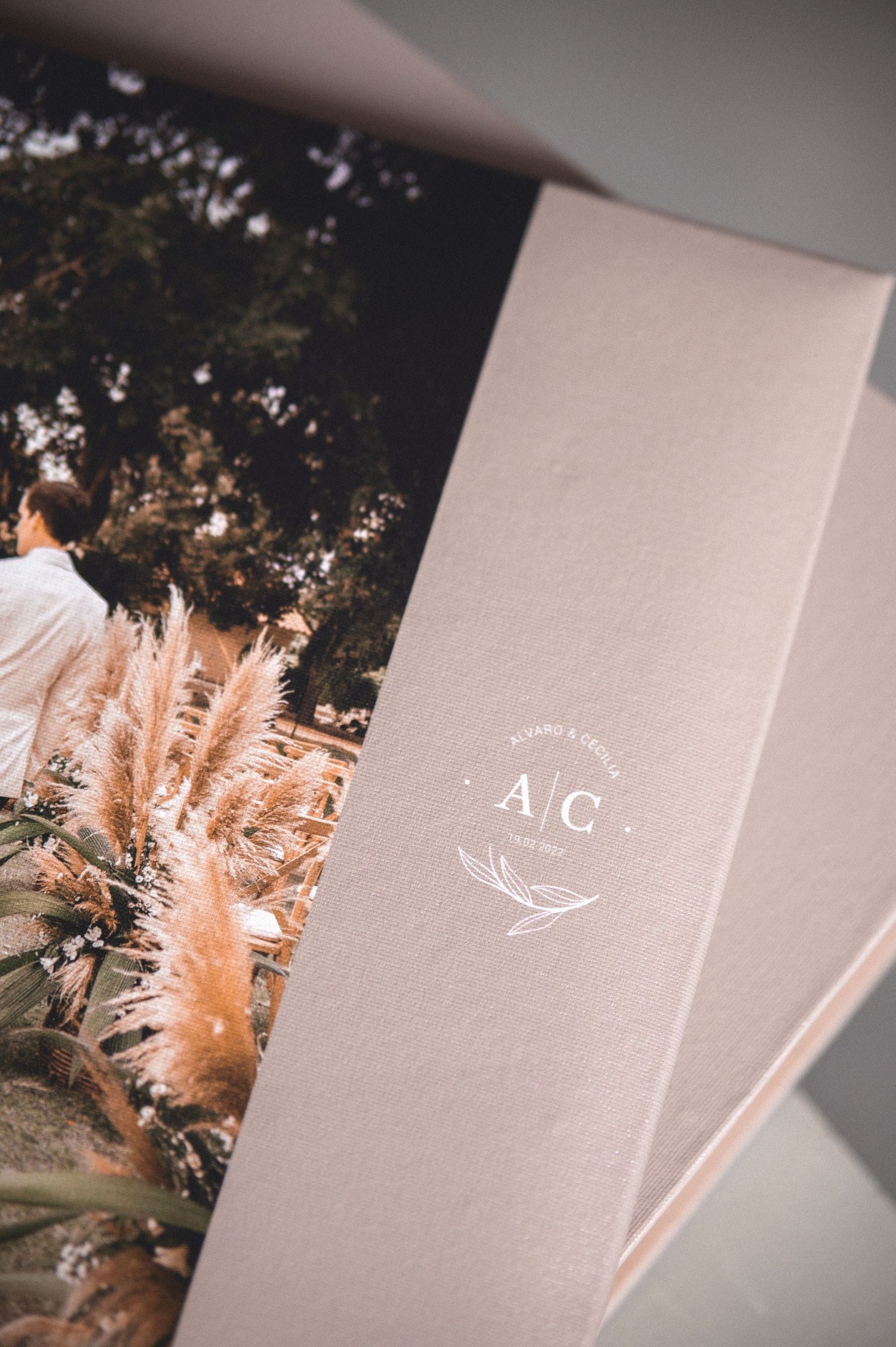 Albumes de Bodas Colombia