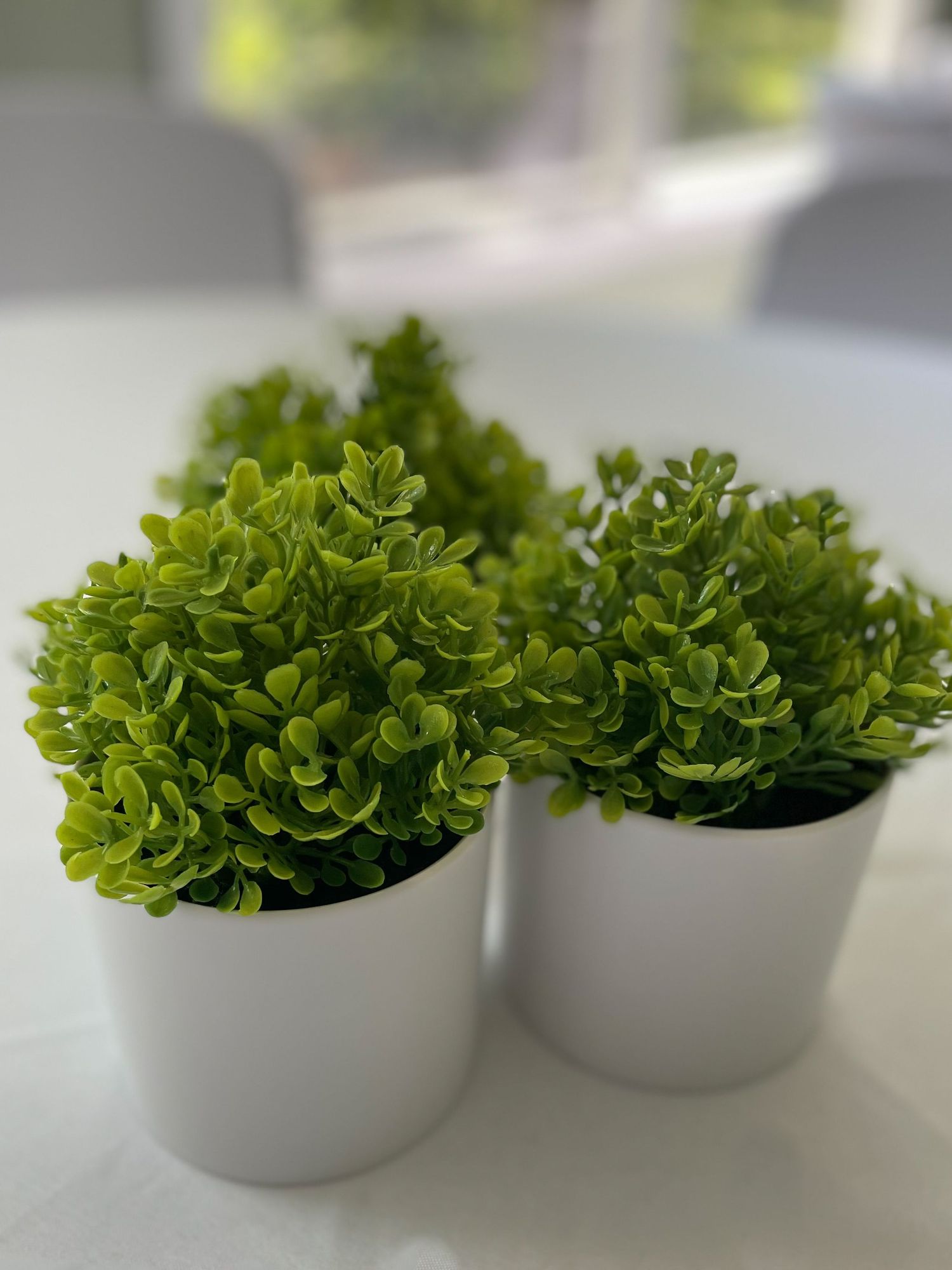 green boxwood centerpieces